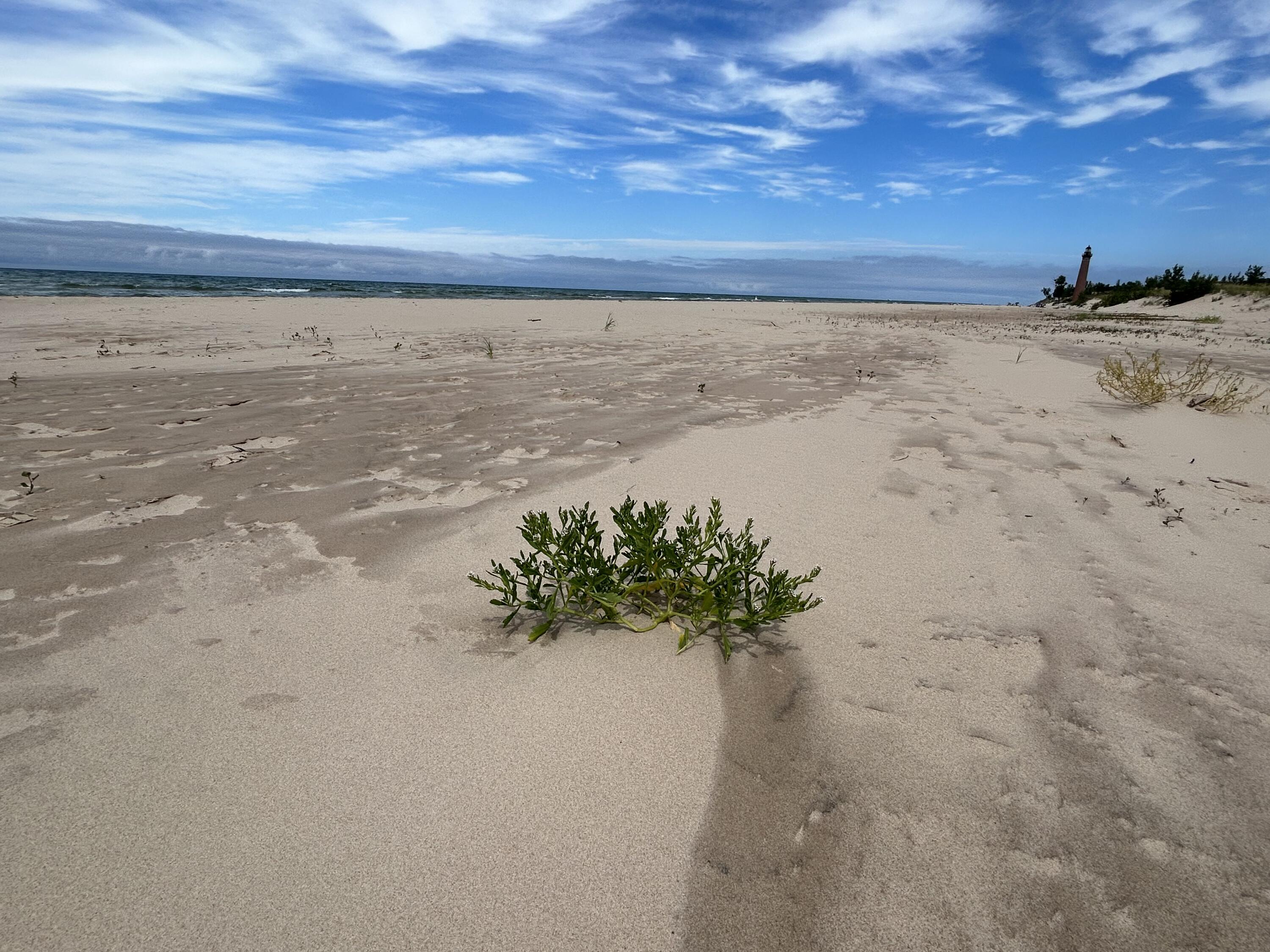 14 N Lighthouse Drive