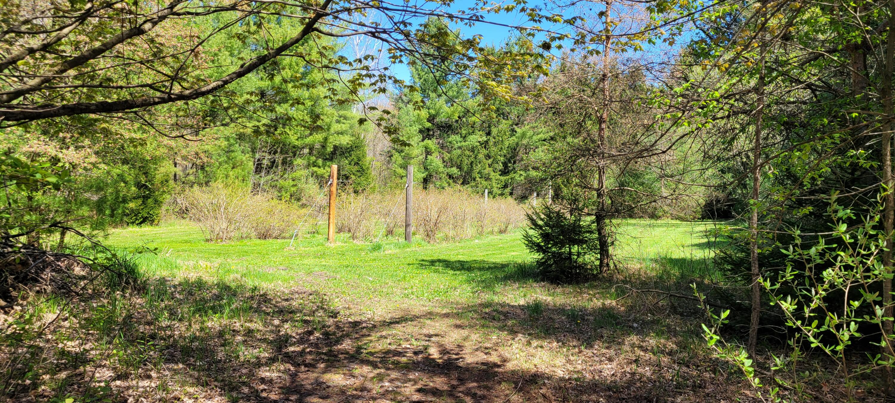 3771 E Loop Road
