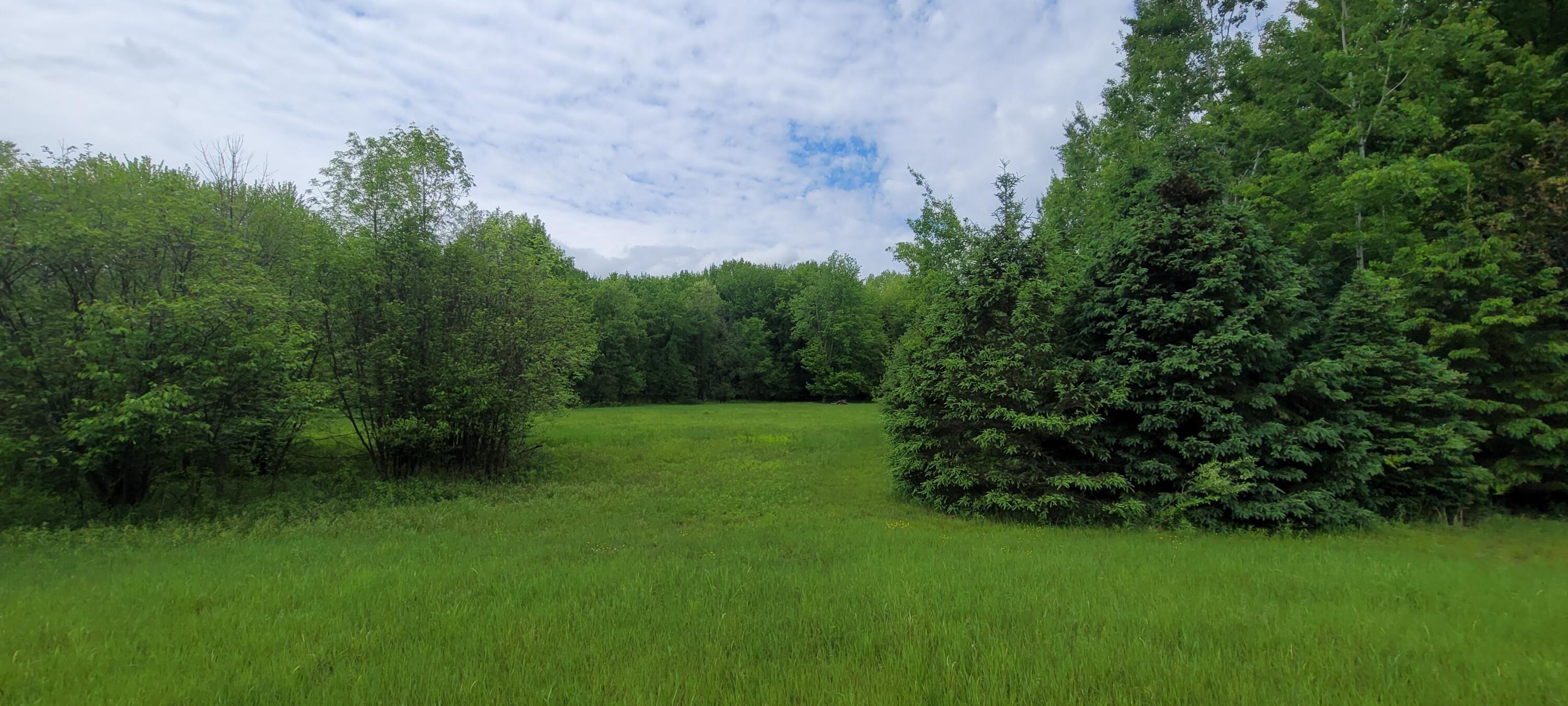 3771 E Loop Road