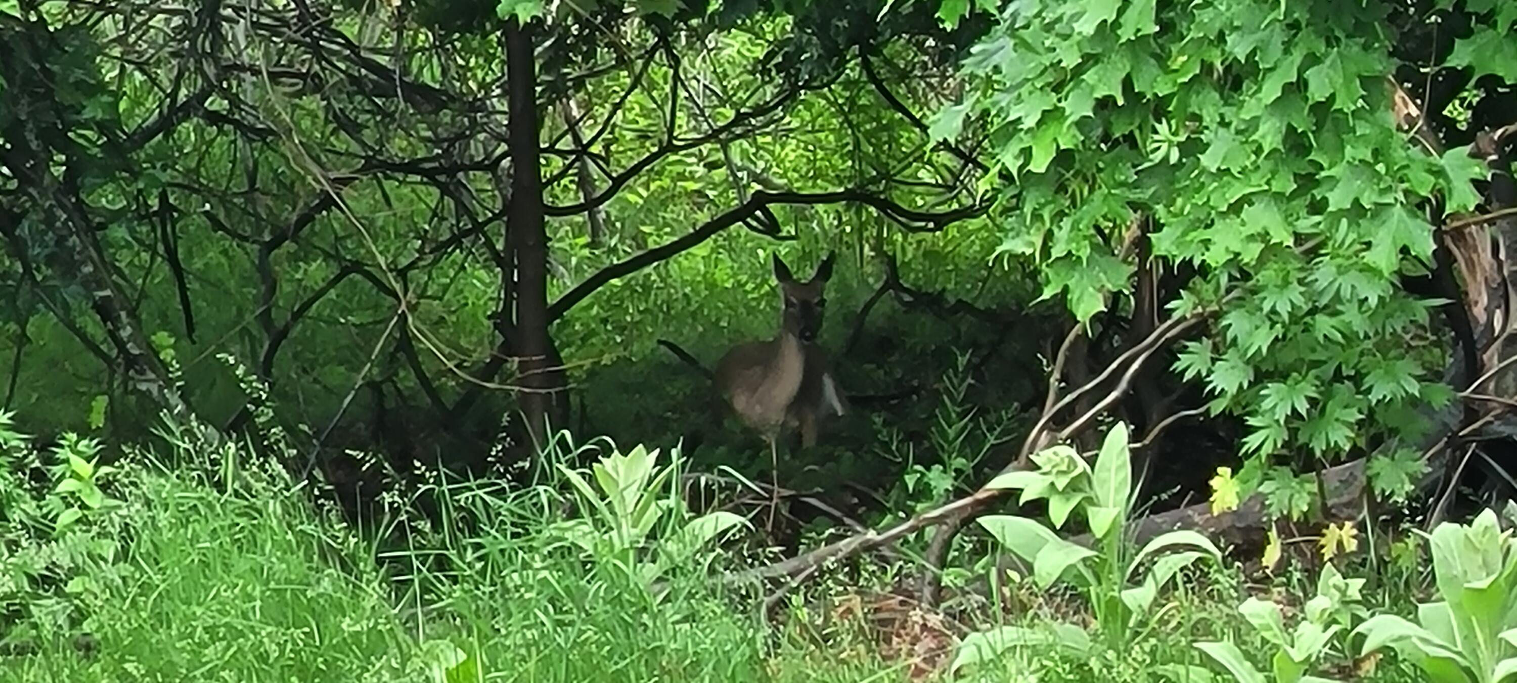 8867 W Garfield Road