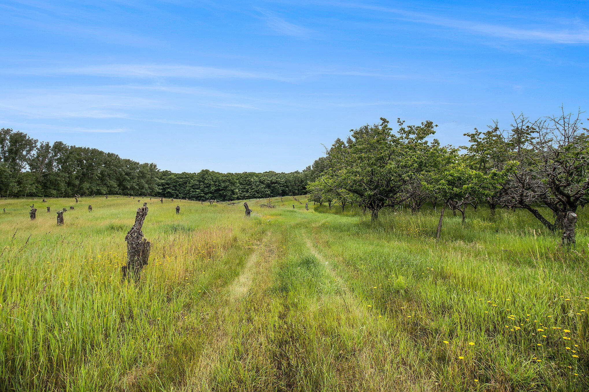 6.24 Acres Parcel A-2 W Tyler Road