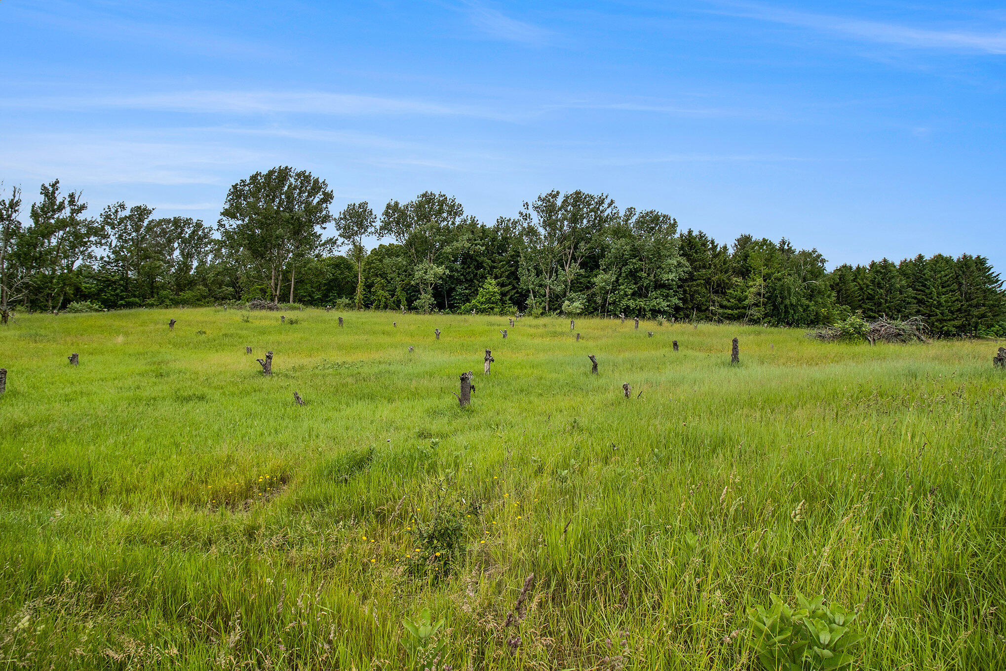 6.24 Acres Parcel A-2 W Tyler Road