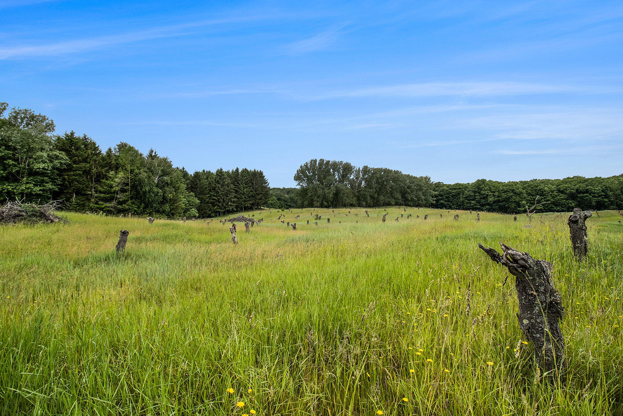 6.24 Acres Parcel A-2 W Tyler Road