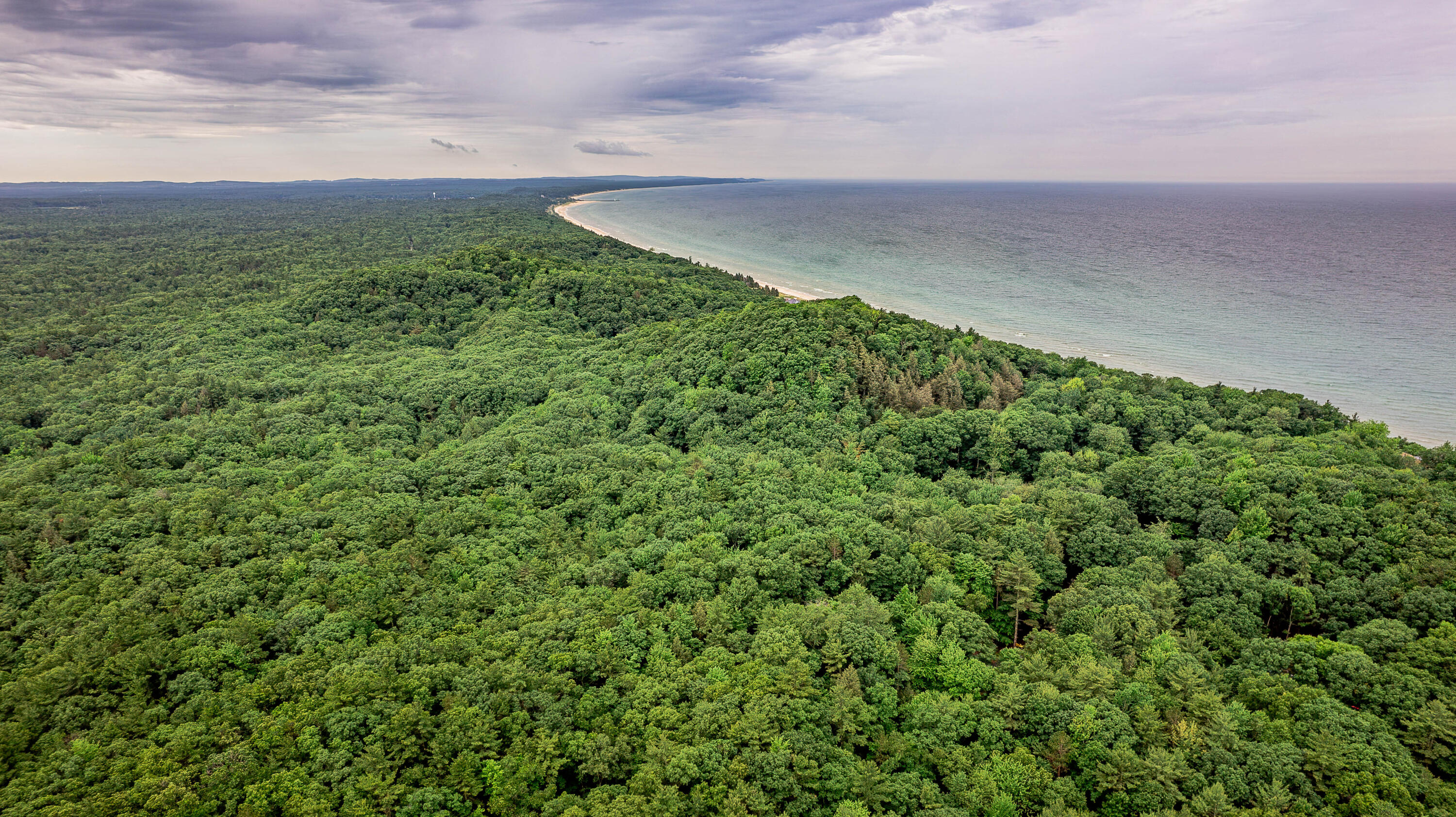 blks 10 11 and more Avenue D