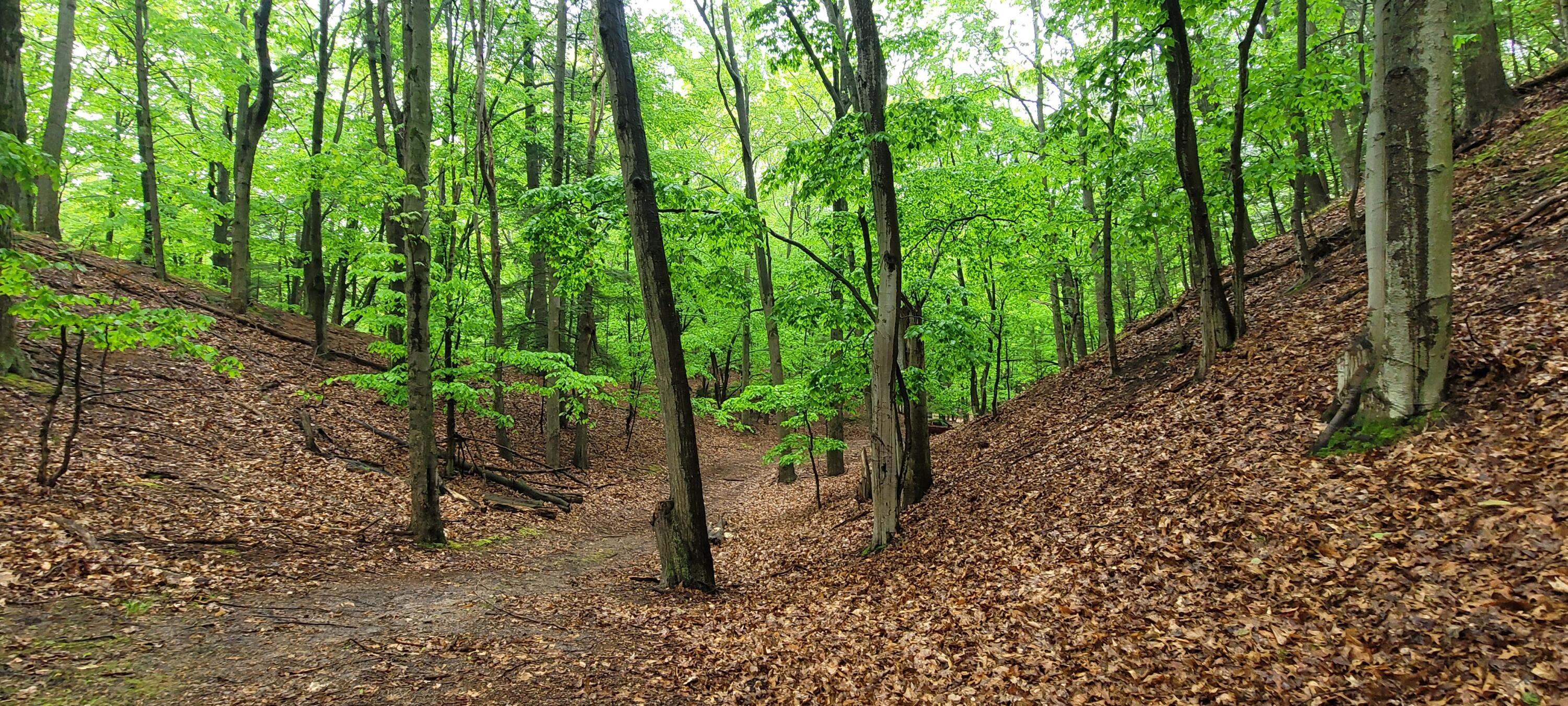 blks 10 11 and more Avenue D