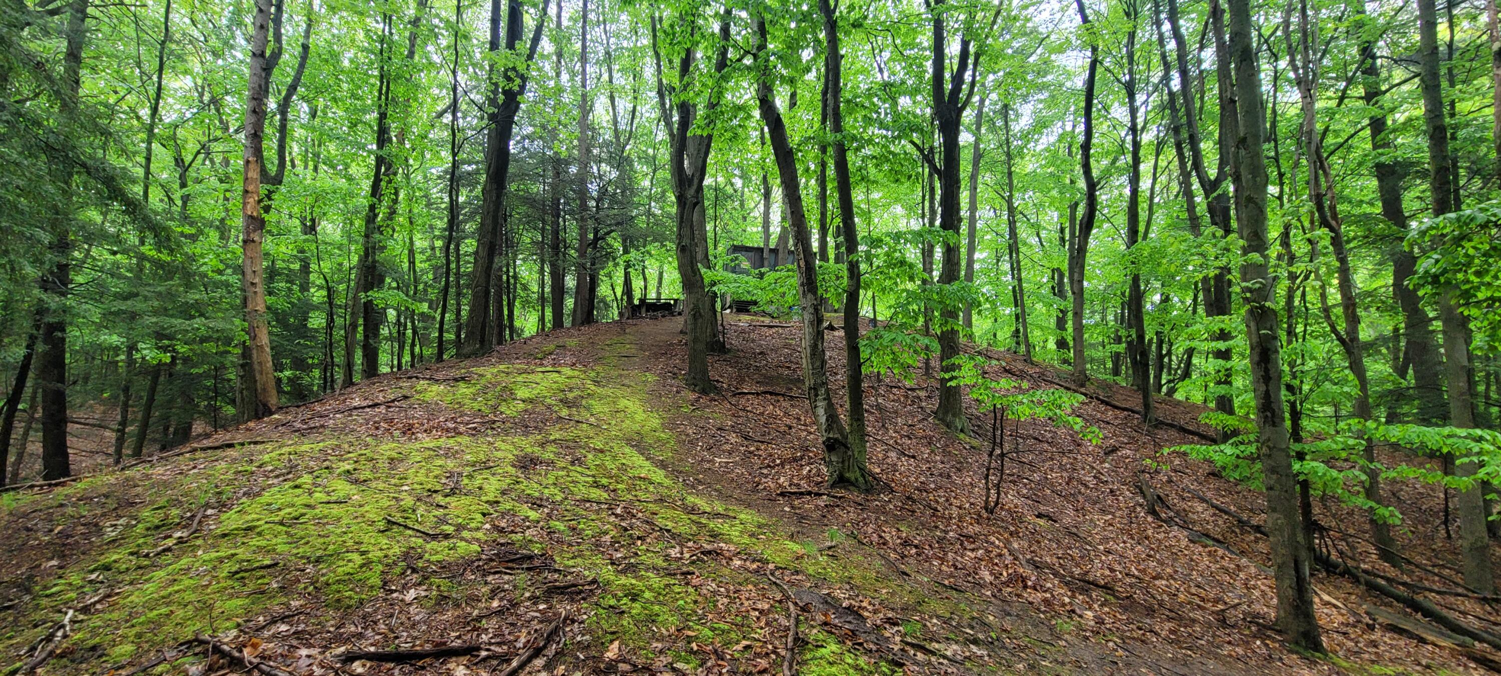 blks 10 11 and more Avenue D