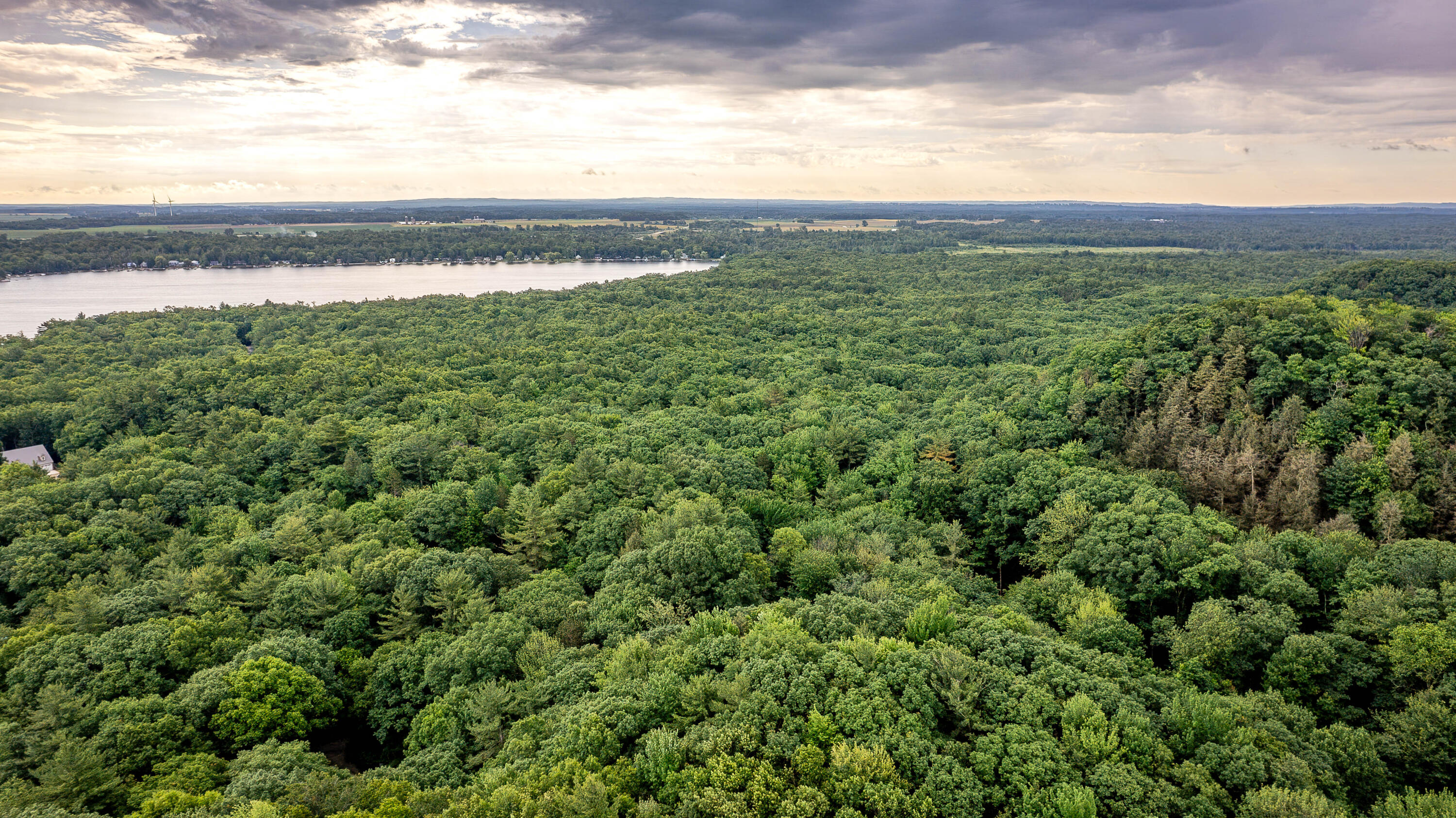 blks 10 11 and more Avenue D