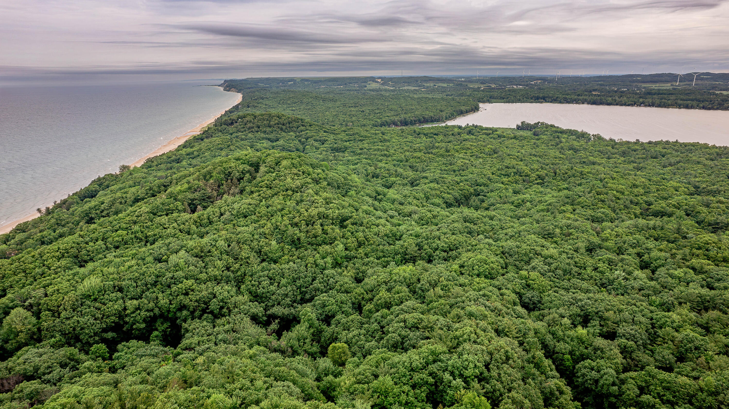 blks 10 11 and more Avenue D