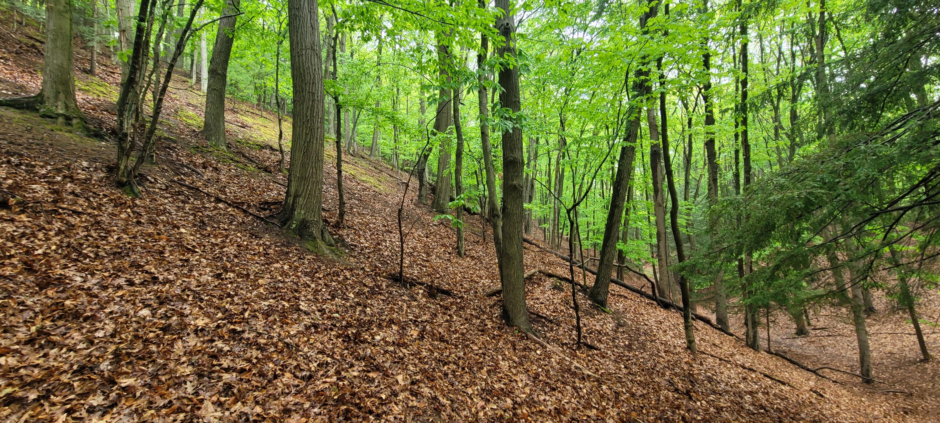 blks 10 11 and more Avenue D