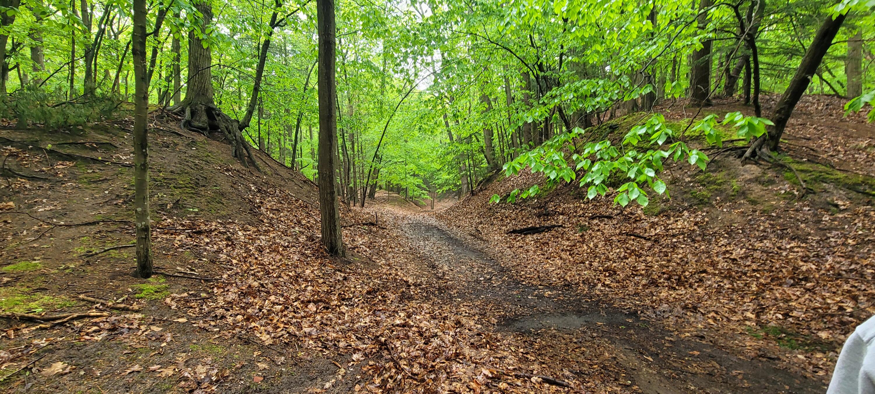 blks 10 11 and more Avenue D