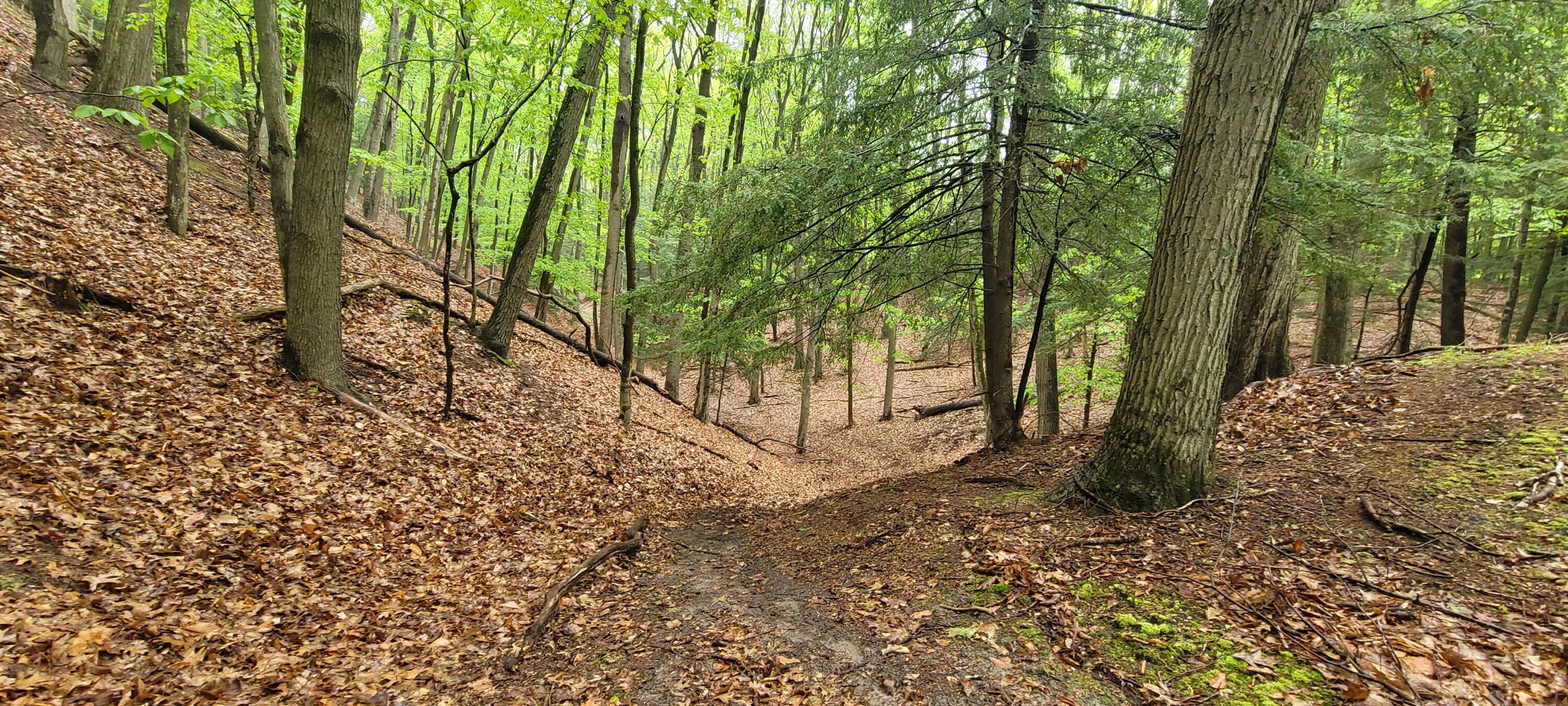 blks 10 11 and more Avenue D