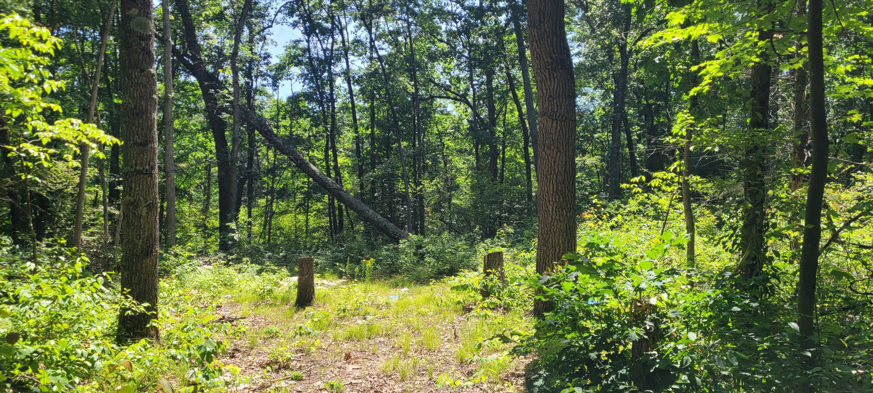 0 2.2 ACRES W Fruitvale Rd Road