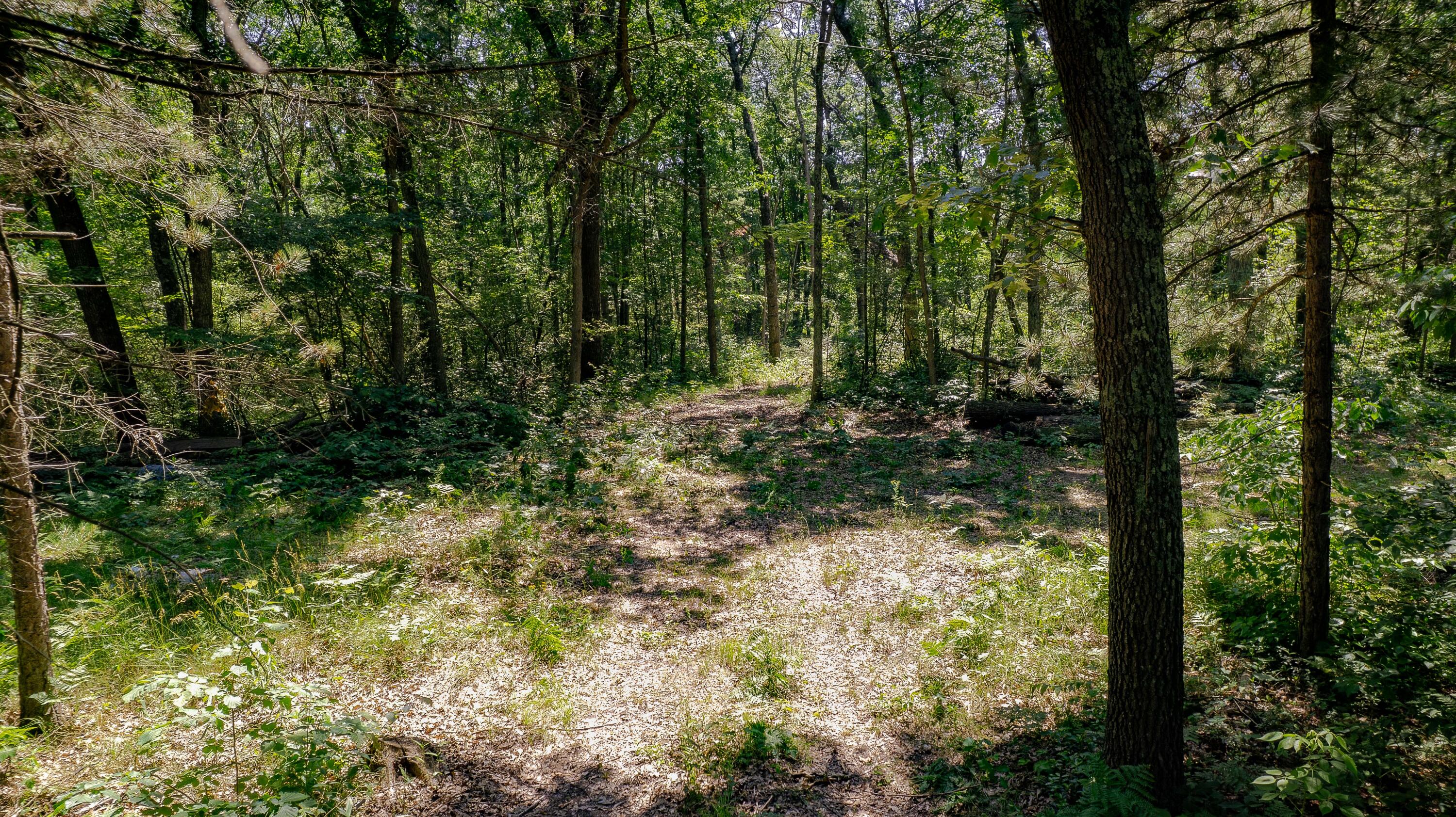 0 2.2 ACRES W Fruitvale Rd Road