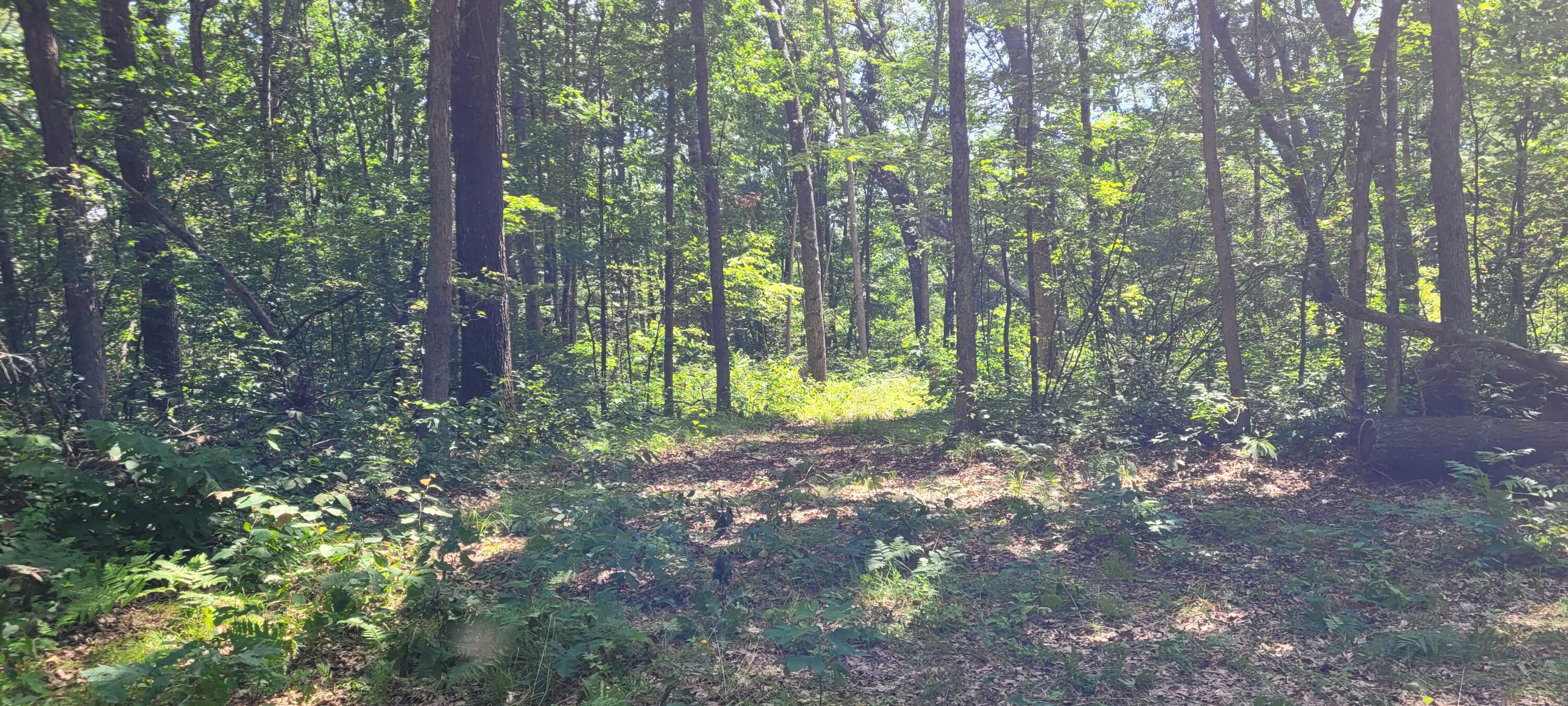 0 2.2 ACRES W Fruitvale Rd Road