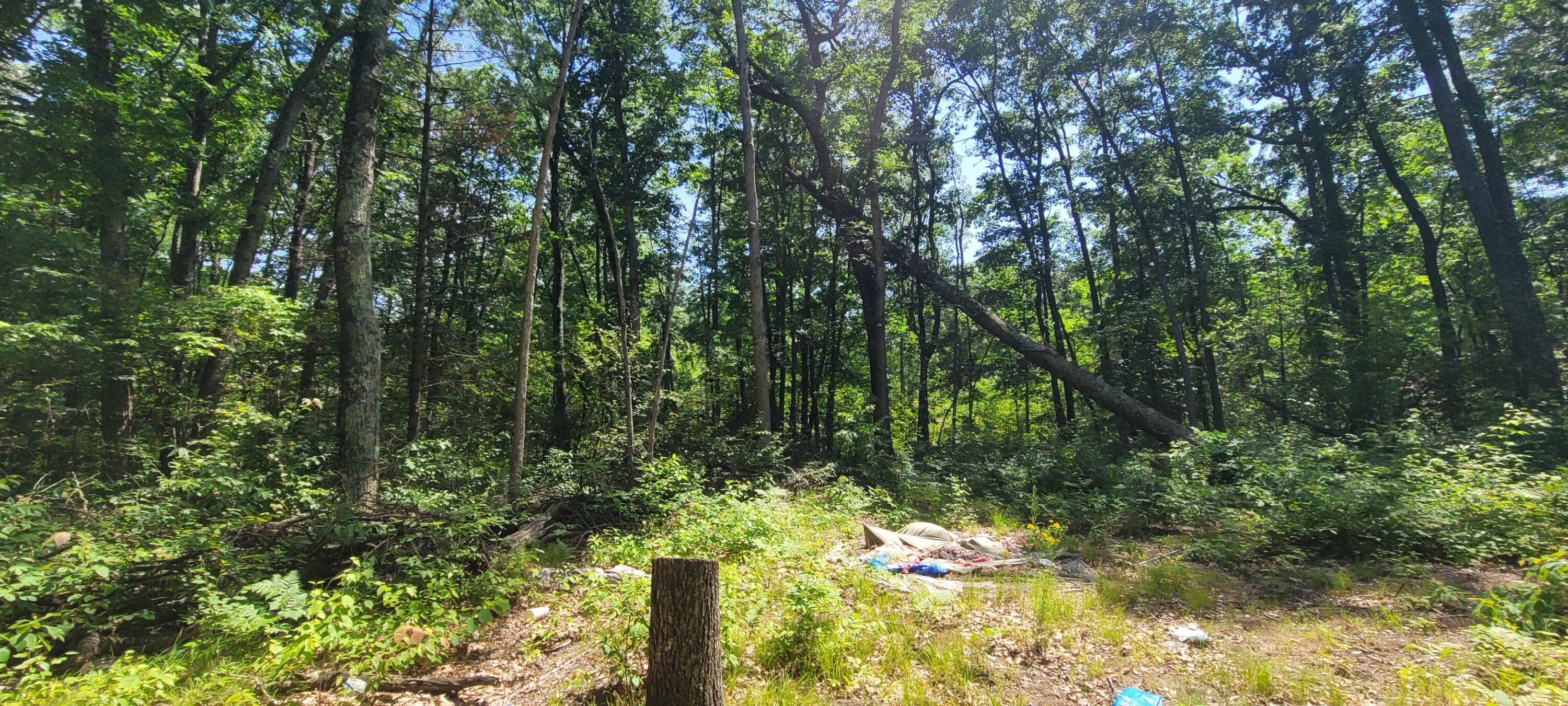 0 2.2 ACRES W Fruitvale Rd Road