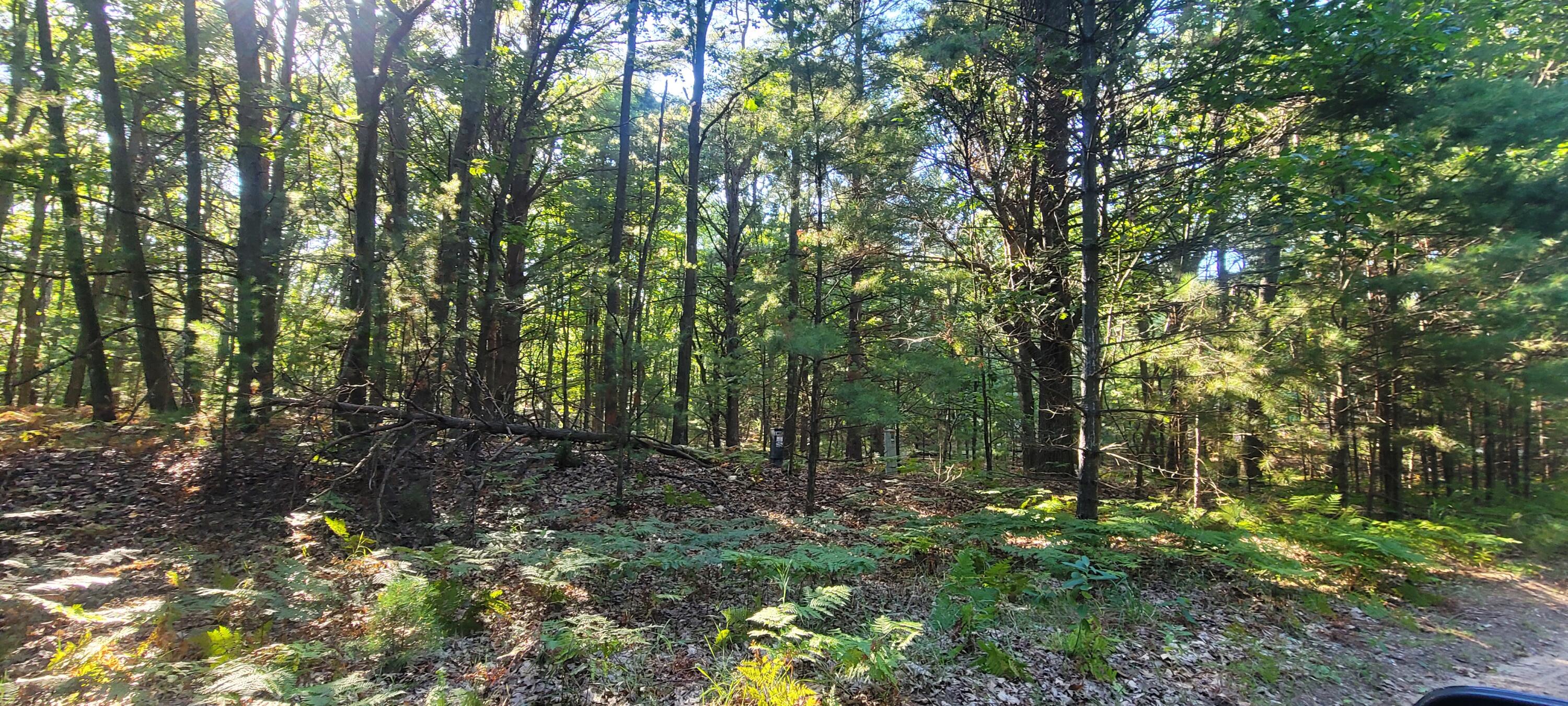 Parcel 1 N Juniper Street, Lot 1