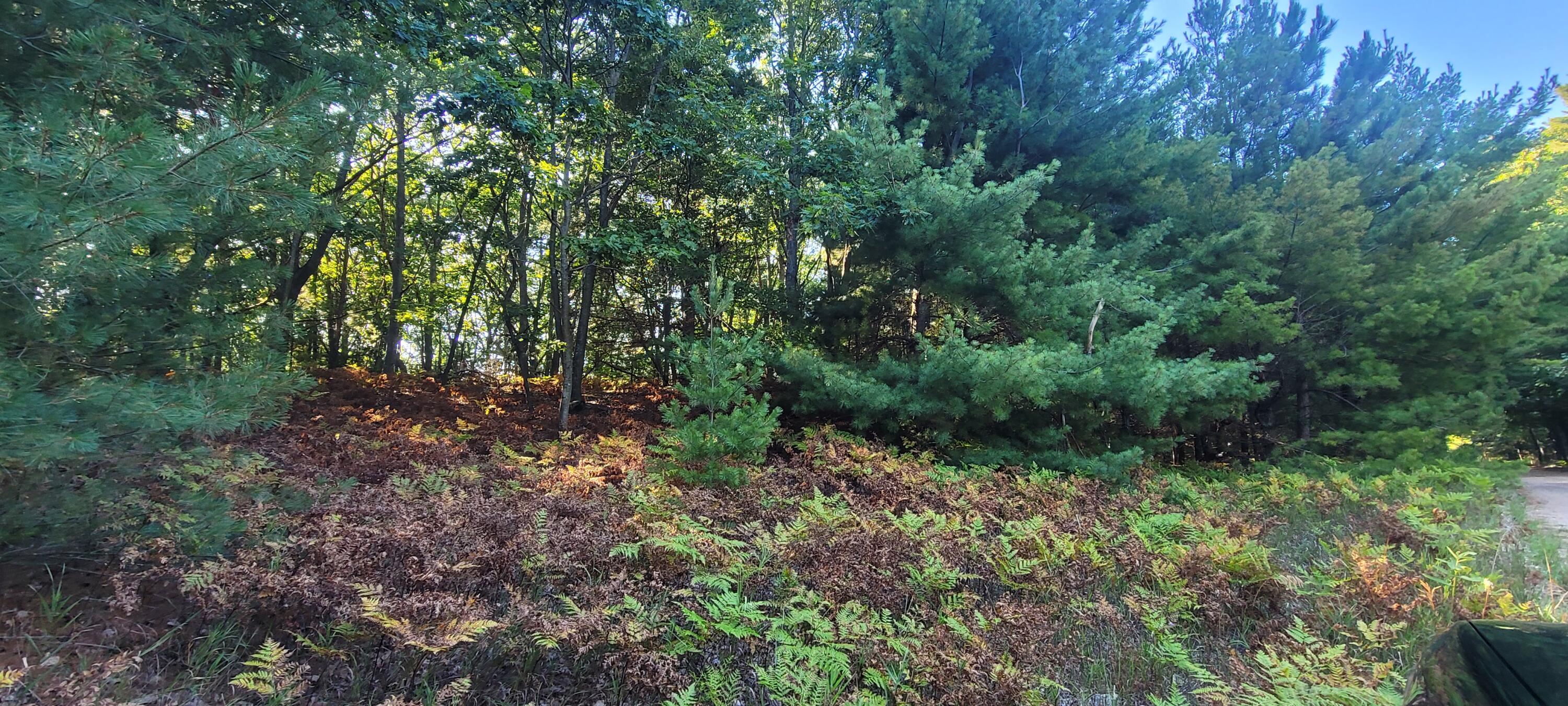 Parcel 1 N Juniper Street, Lot 1