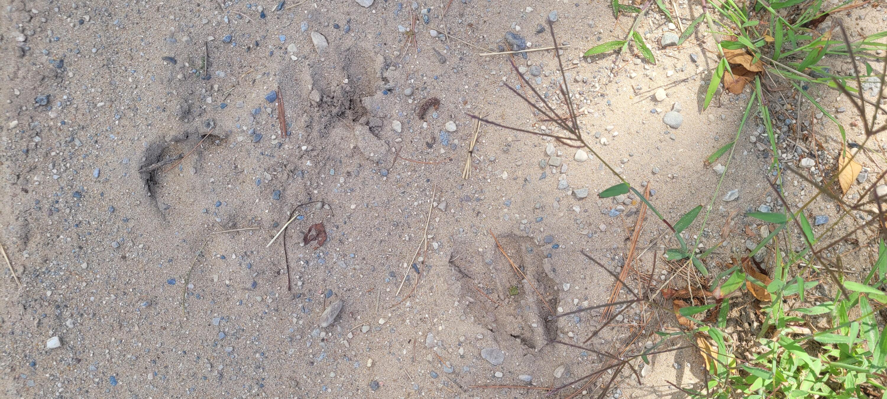 Parcel 1 N 88th Ave Avenue