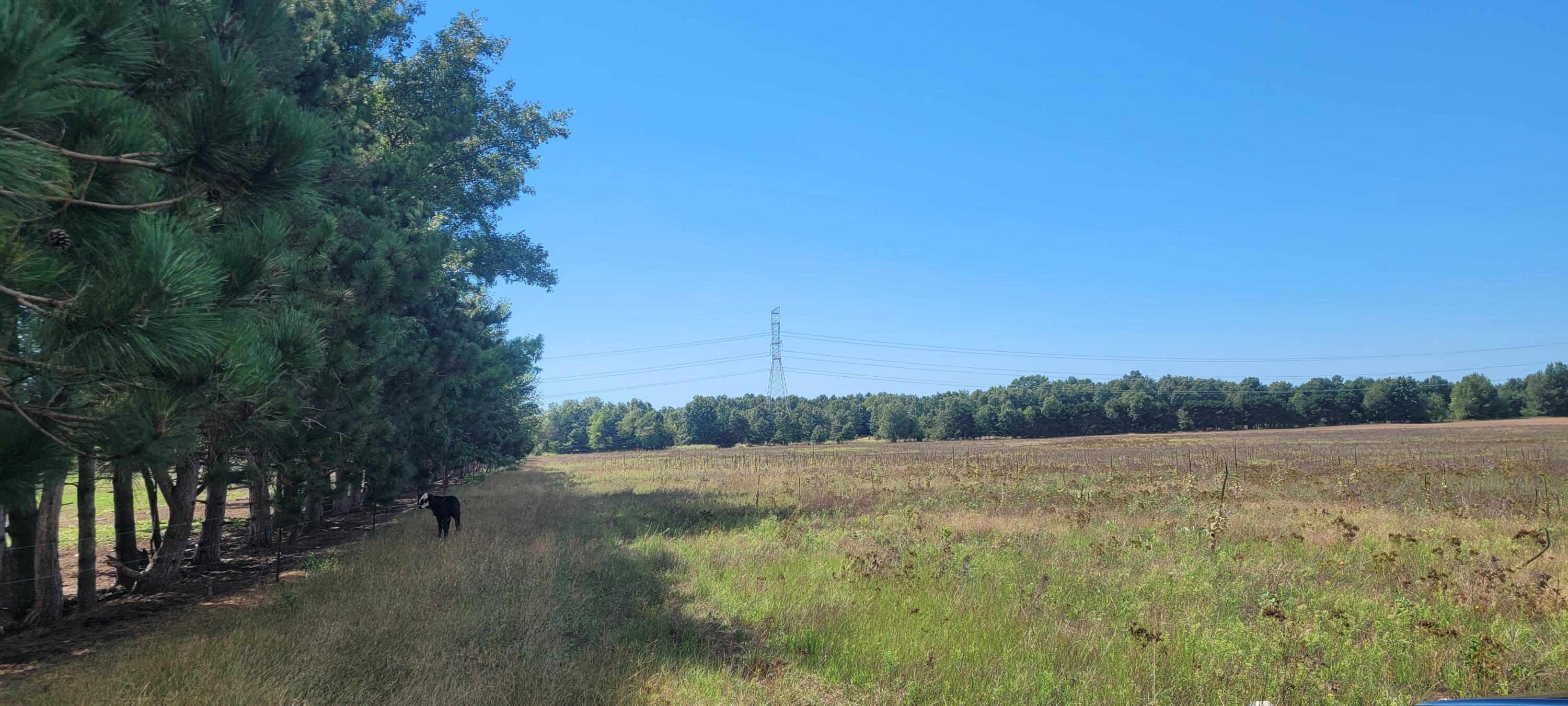 Parcel 1 N 88th Ave Avenue