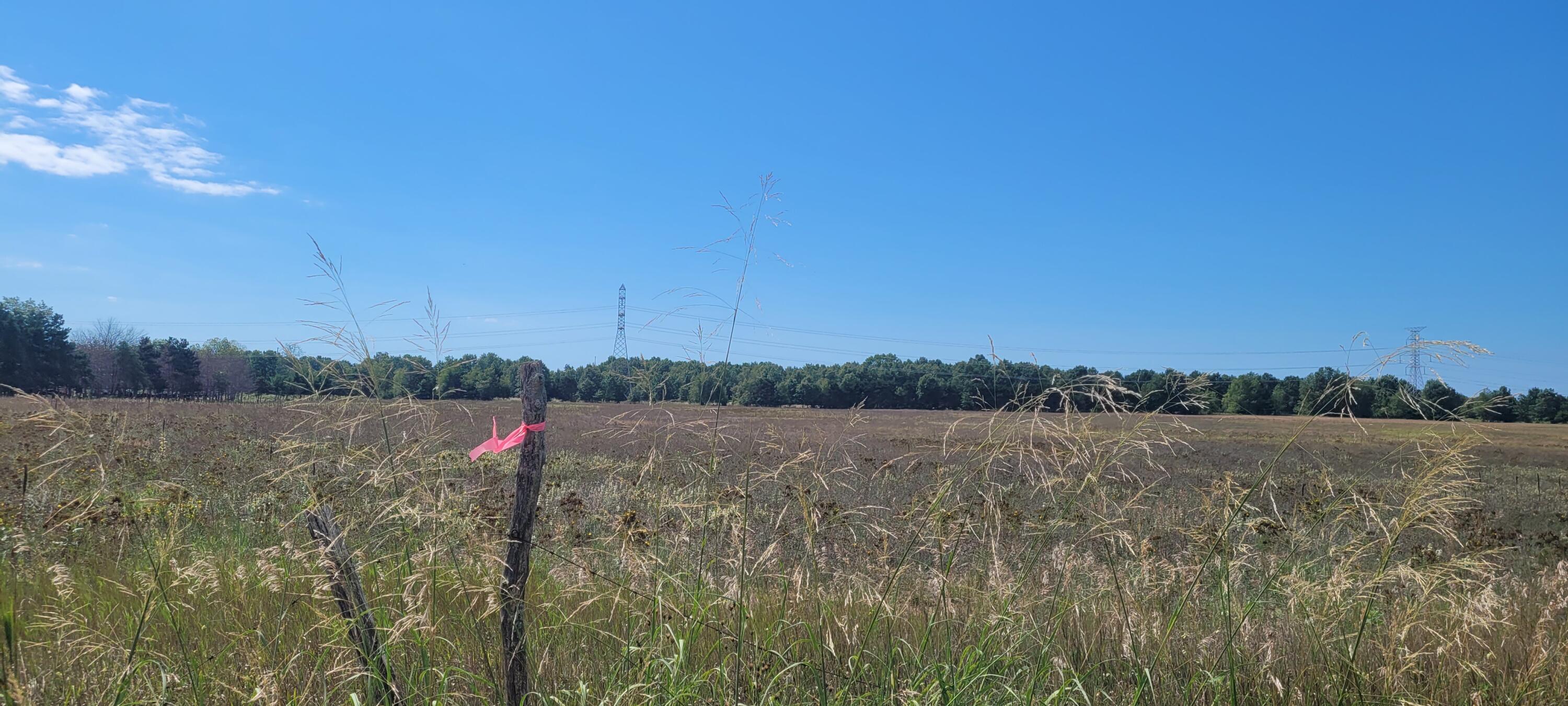 Parcel 1 N 88th Ave Avenue