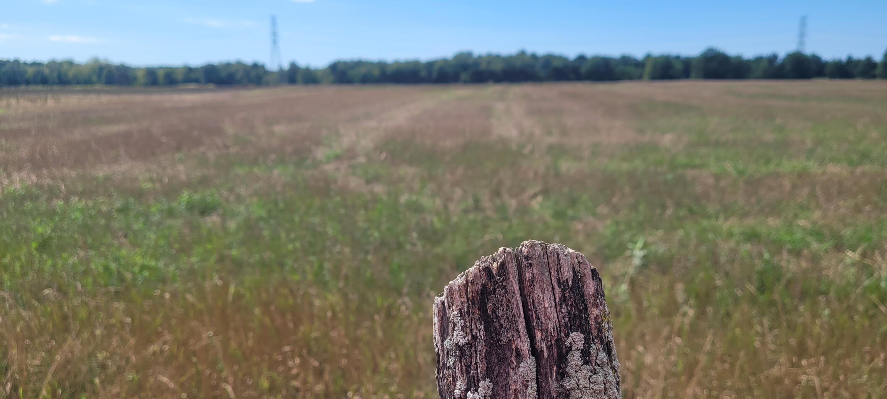 Parcel 1 N 88th Ave Avenue