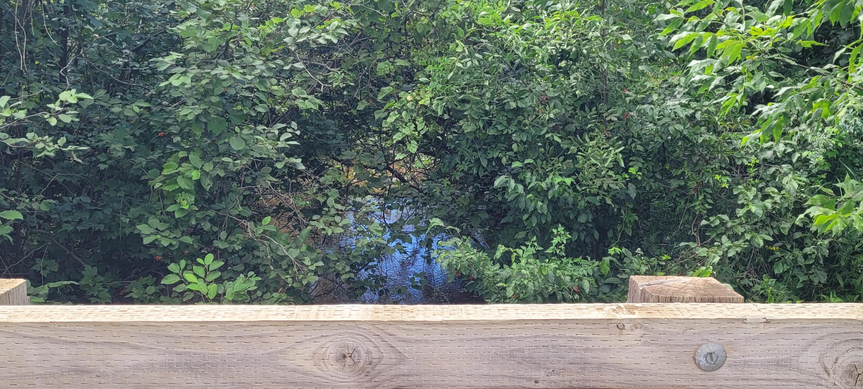 Parcel 1 N 88th Ave Avenue