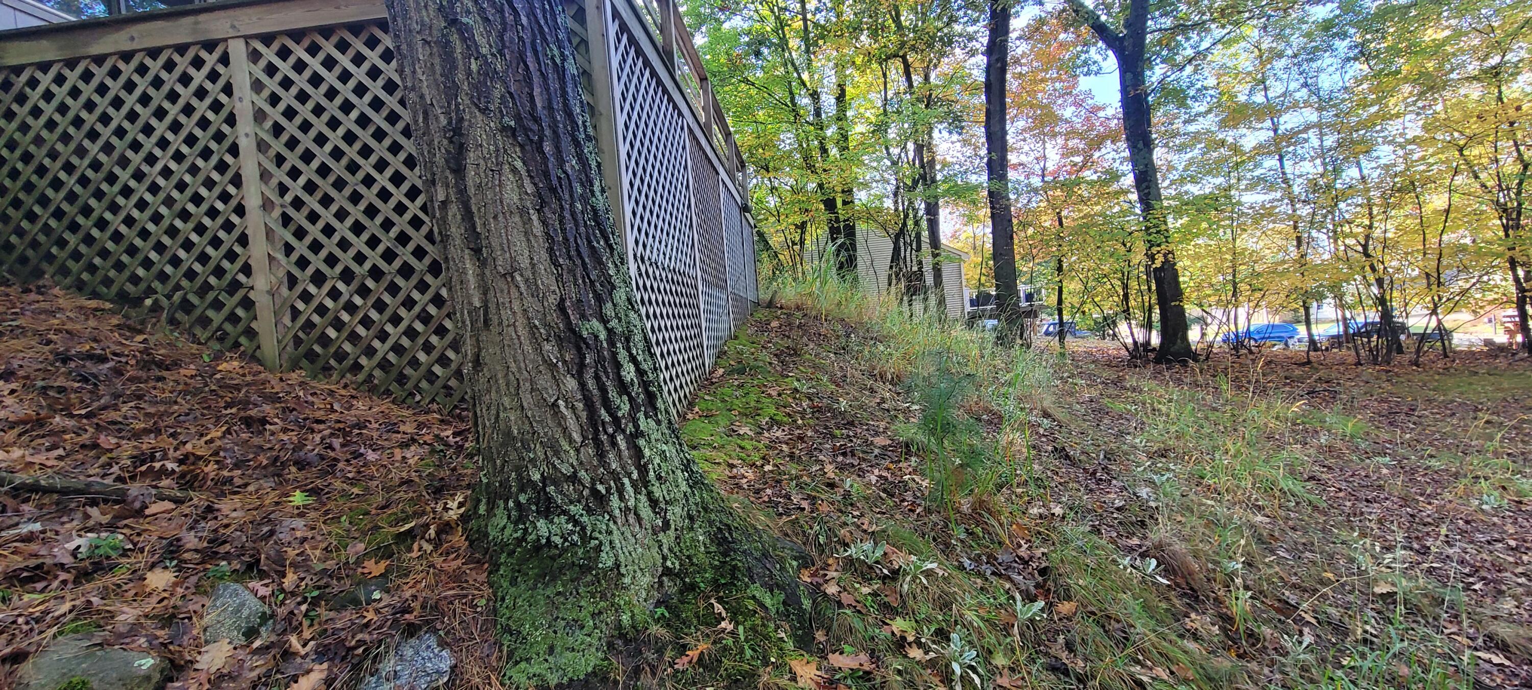 5921 W Longbridge Road