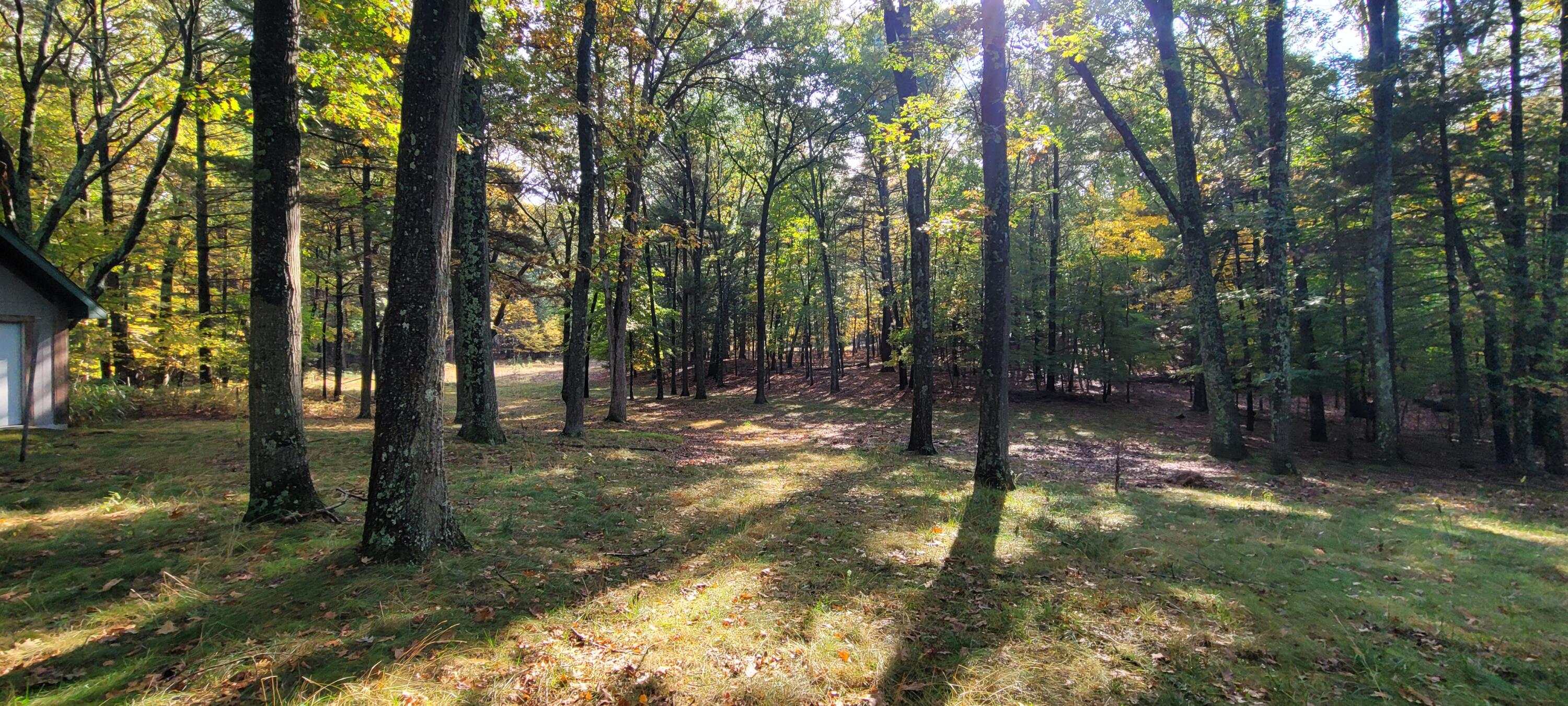 5921 W Longbridge Road