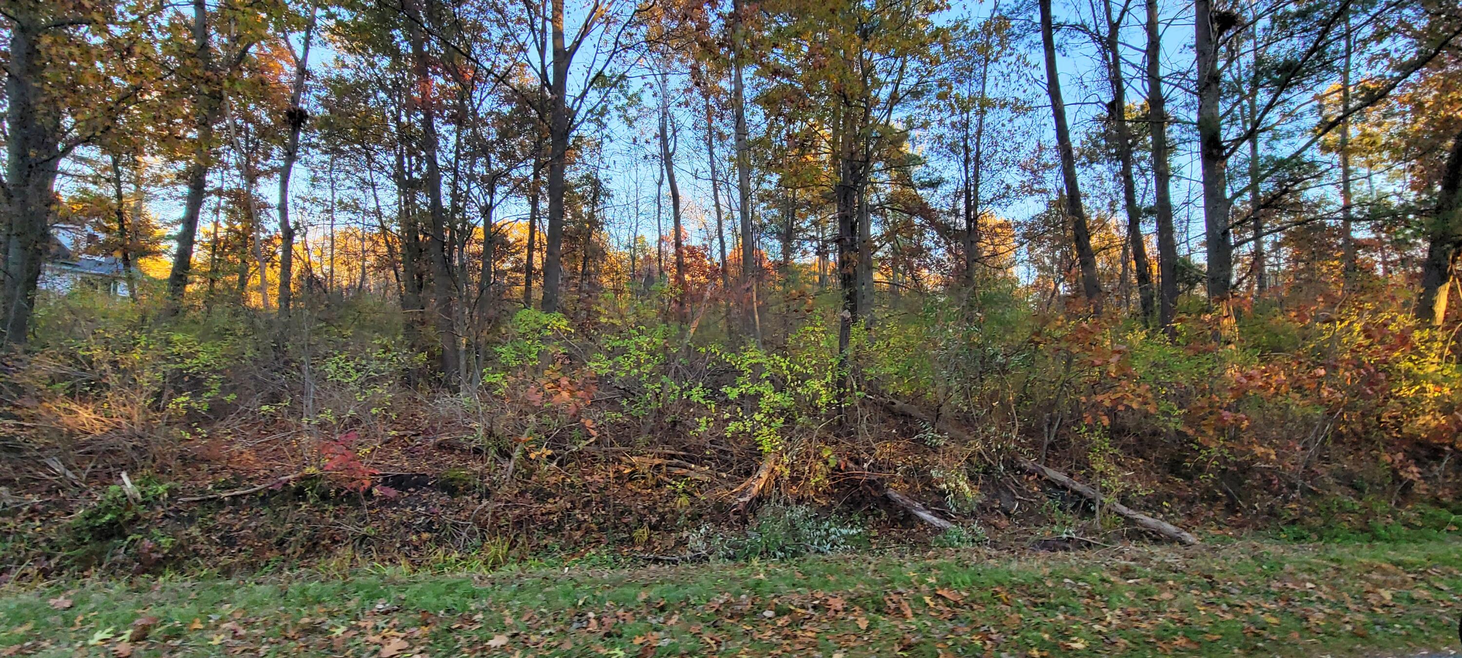 0 Vac Lot Harbor Drive, #123