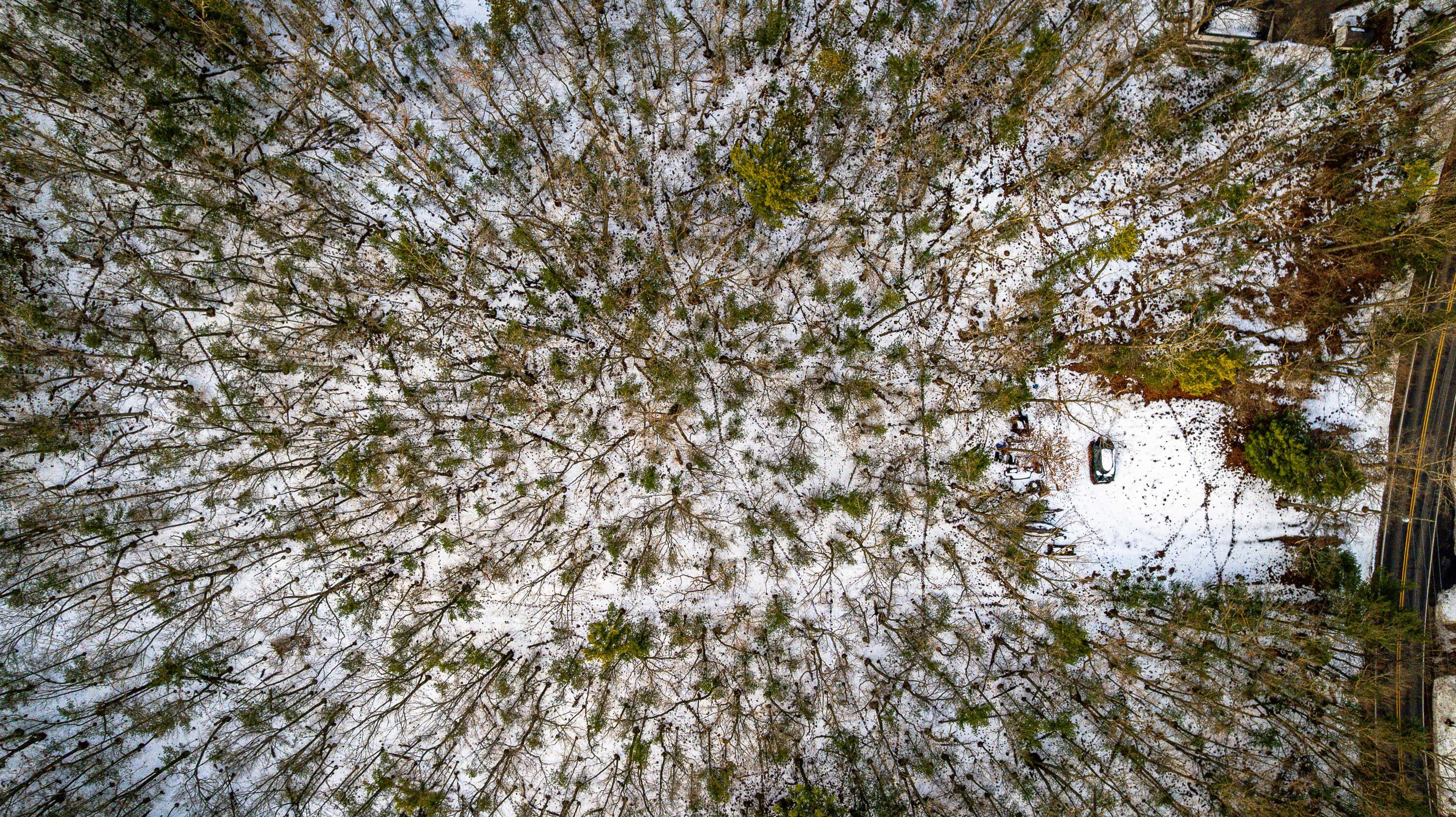 0 Lots 38 B and 39 B Mohawk Street