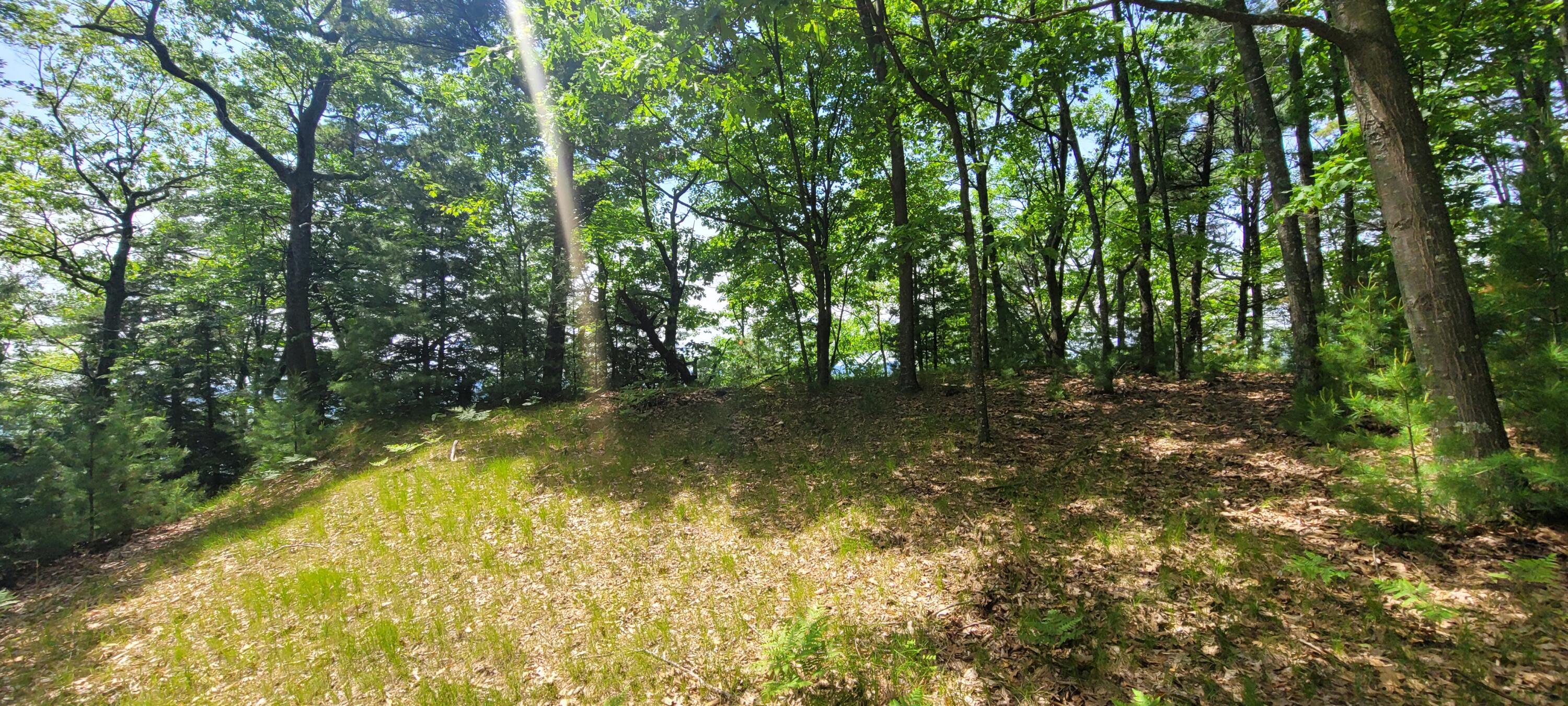 0 vac land S Montgomery Boulevard