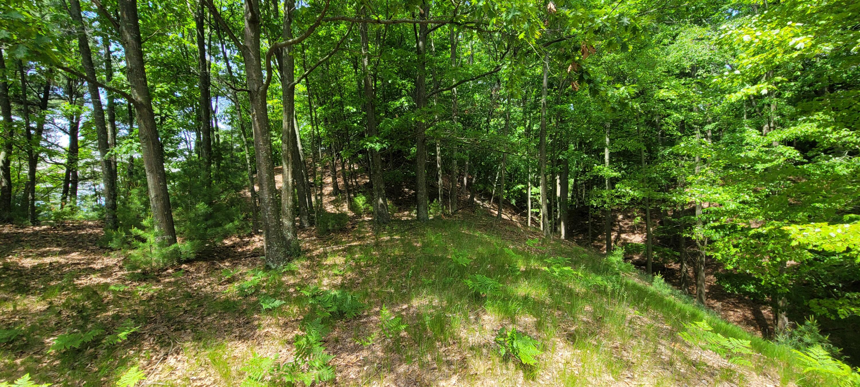 0 vac land S Montgomery Boulevard