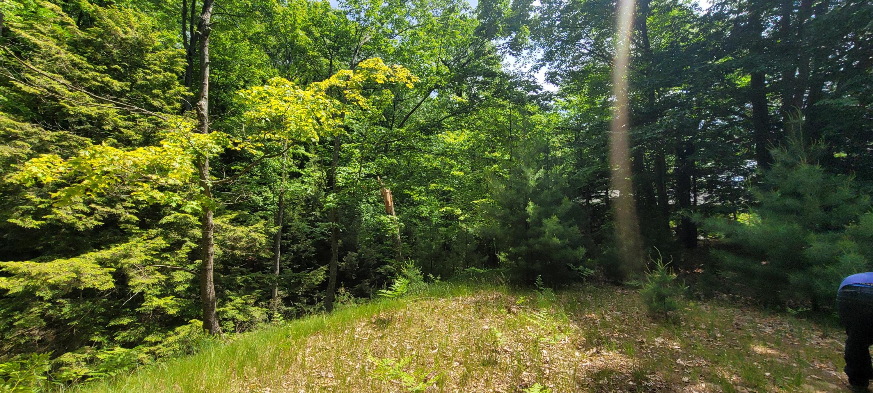 0 vac land S Montgomery Boulevard