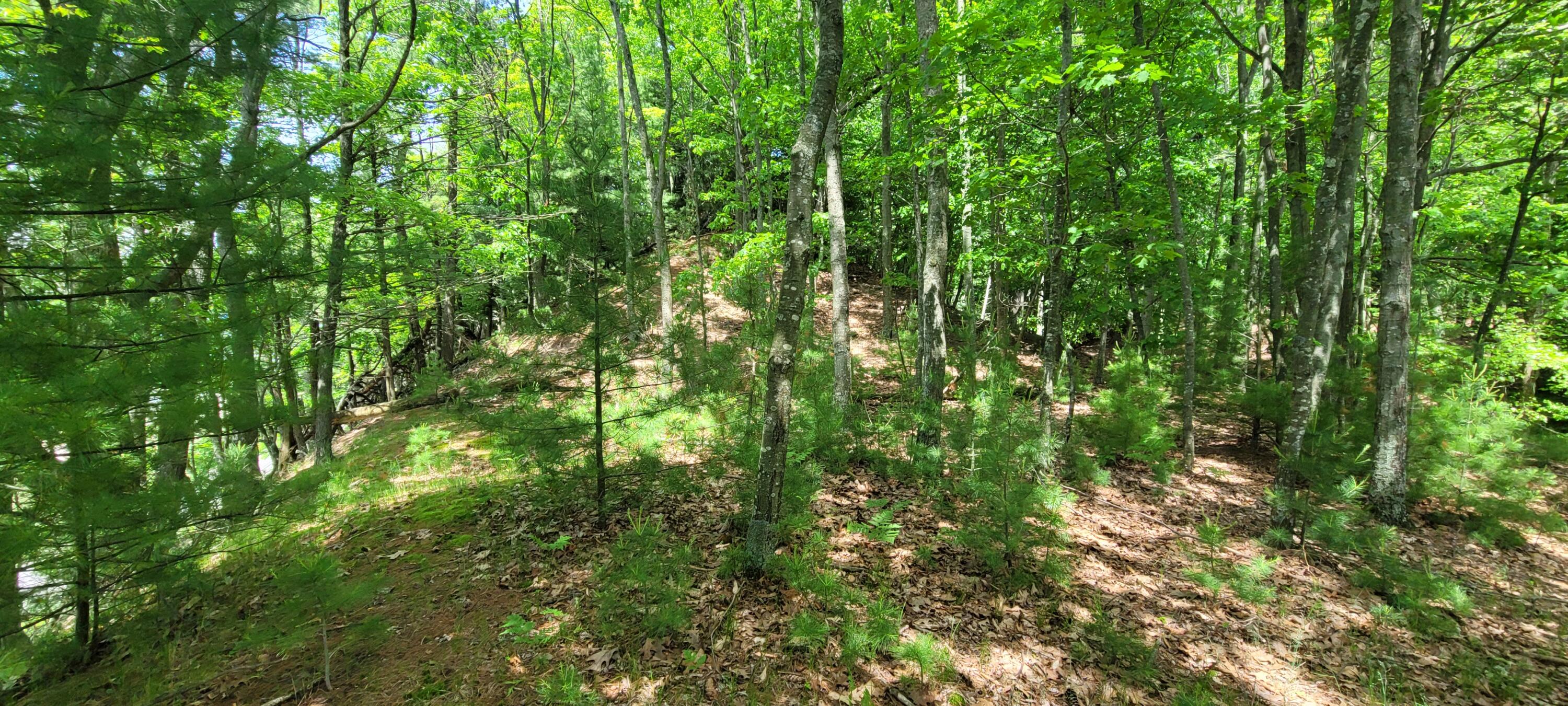 0 vac land S Montgomery Boulevard