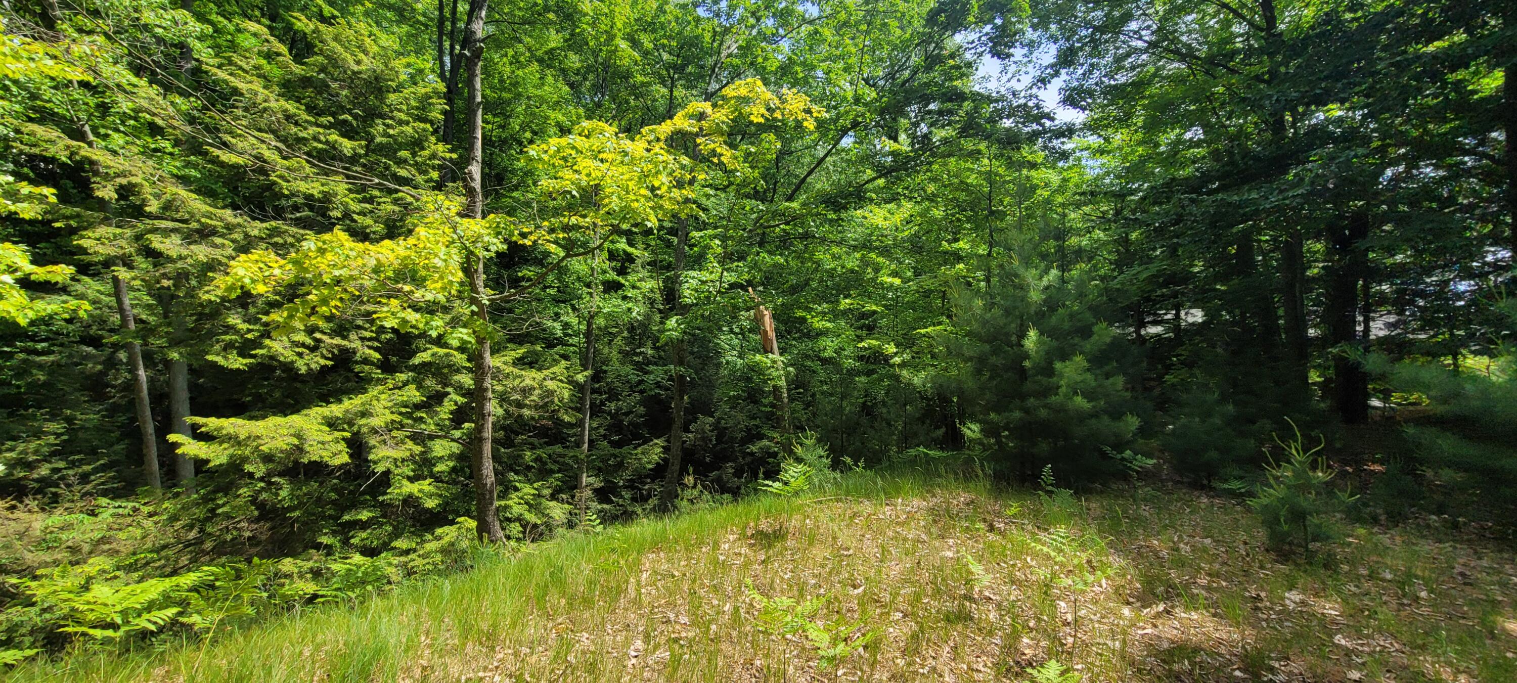 0 vac land S Montgomery Boulevard