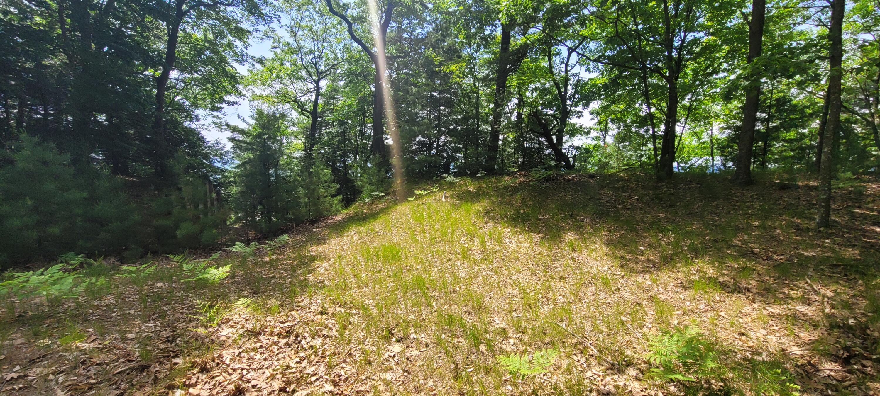 0 vac land S Montgomery Boulevard