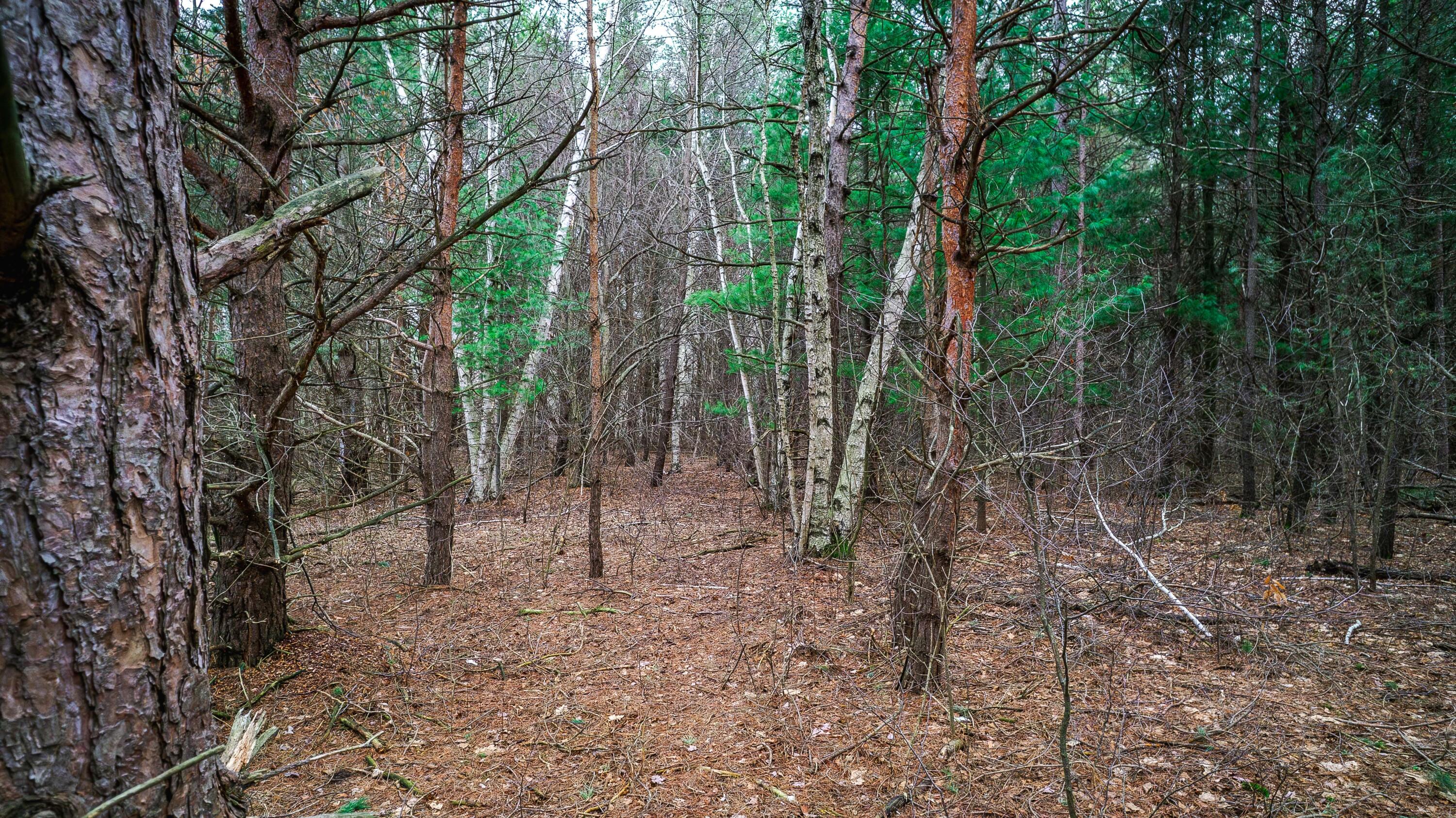 0 4.69 Ac Lorenson Road Vac 4.69 Ac