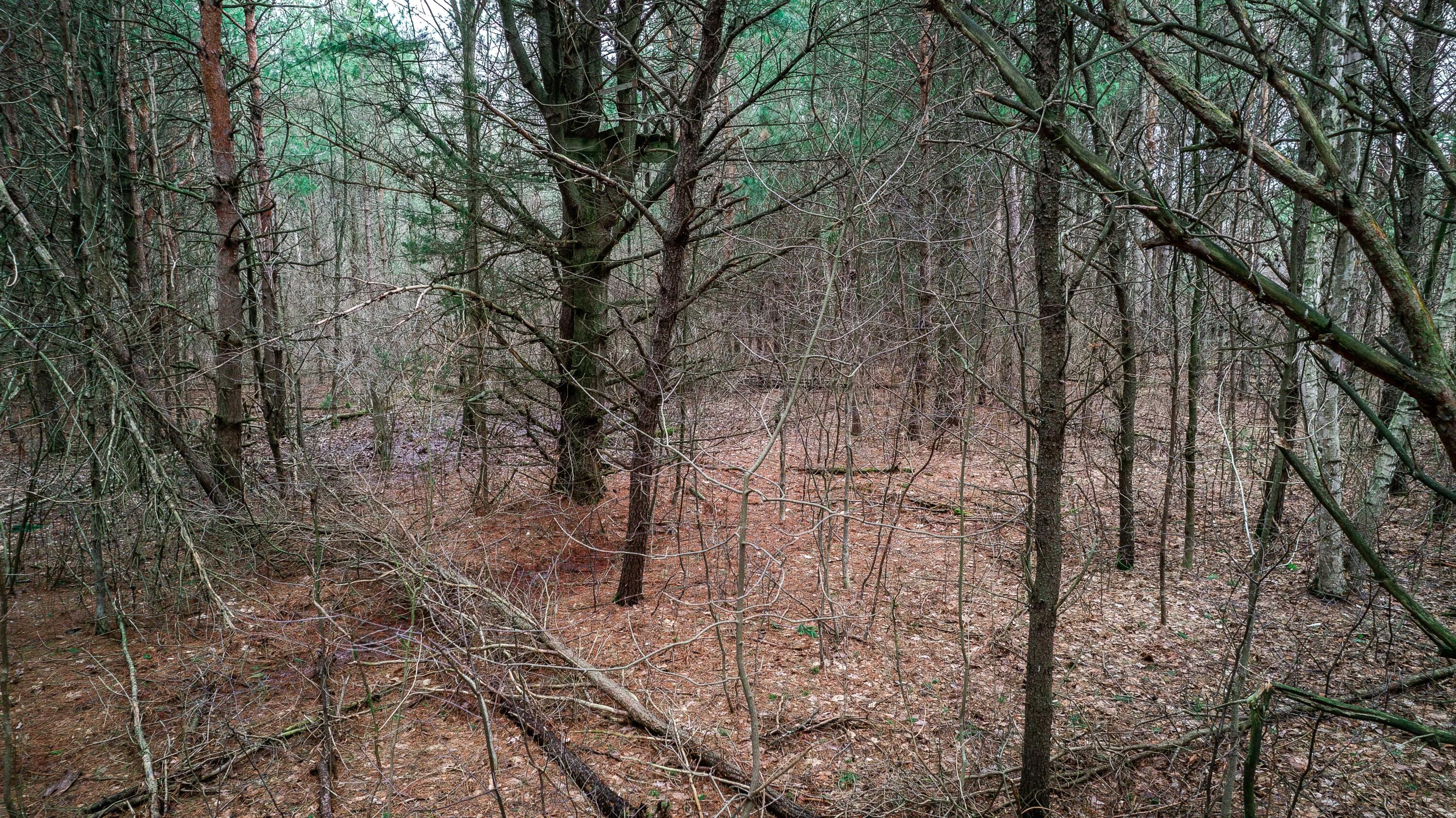 0 4.69 Ac Lorenson Road Vac 4.69 Ac