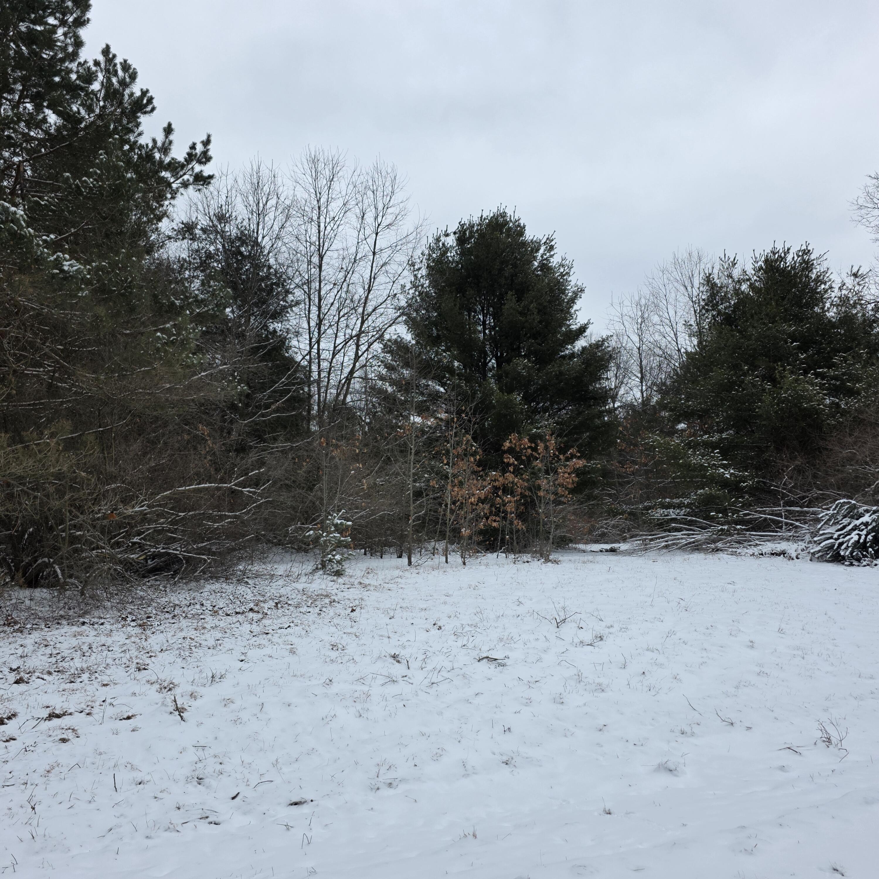 0 4.69 Ac Lorenson Road Vac 4.69 Ac