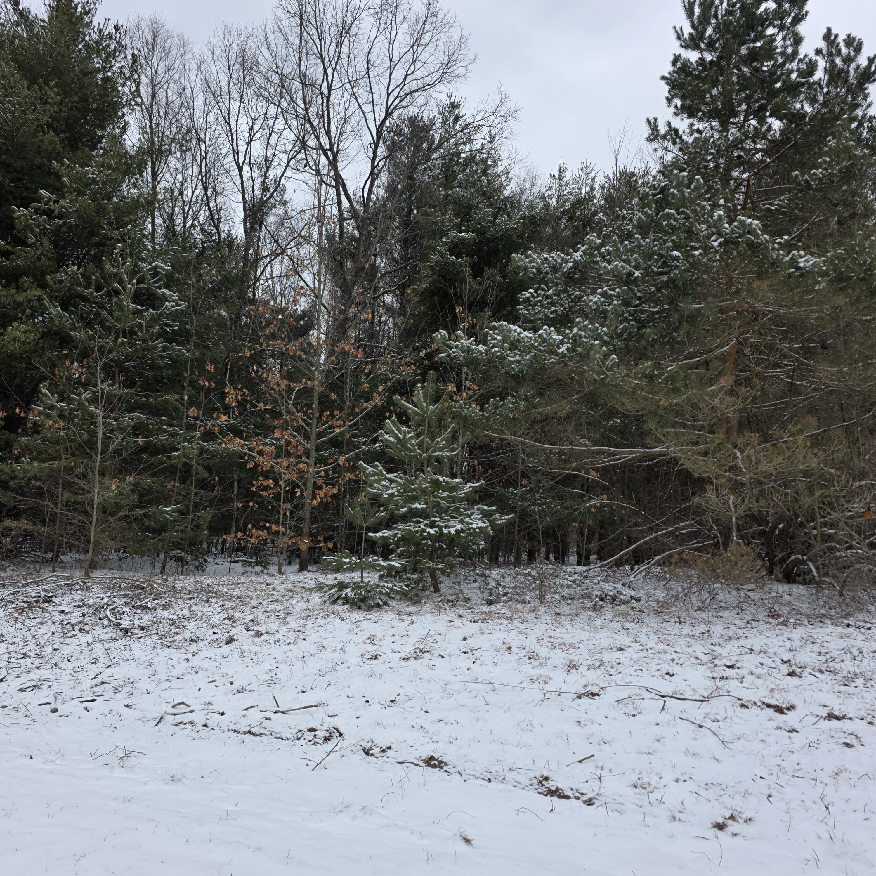 0 4.69 Ac Lorenson Road Vac 4.69 Ac