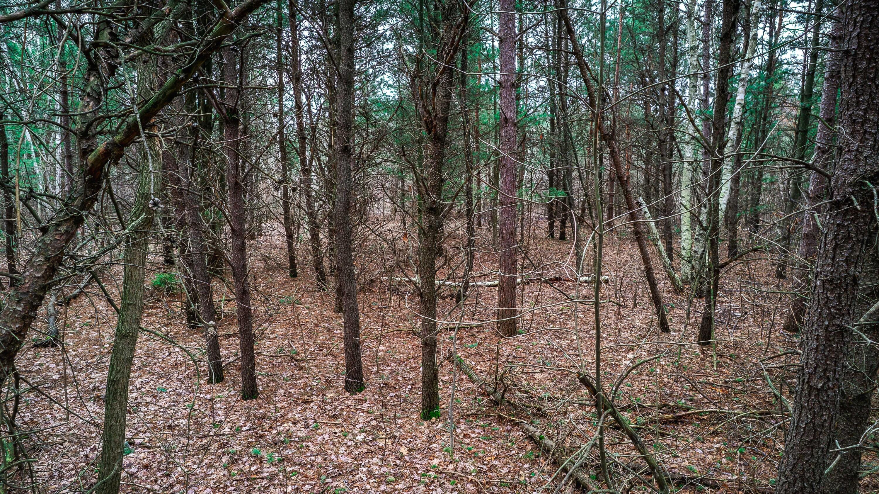 0 4.69 Ac Lorenson Road Vac 4.69 Ac