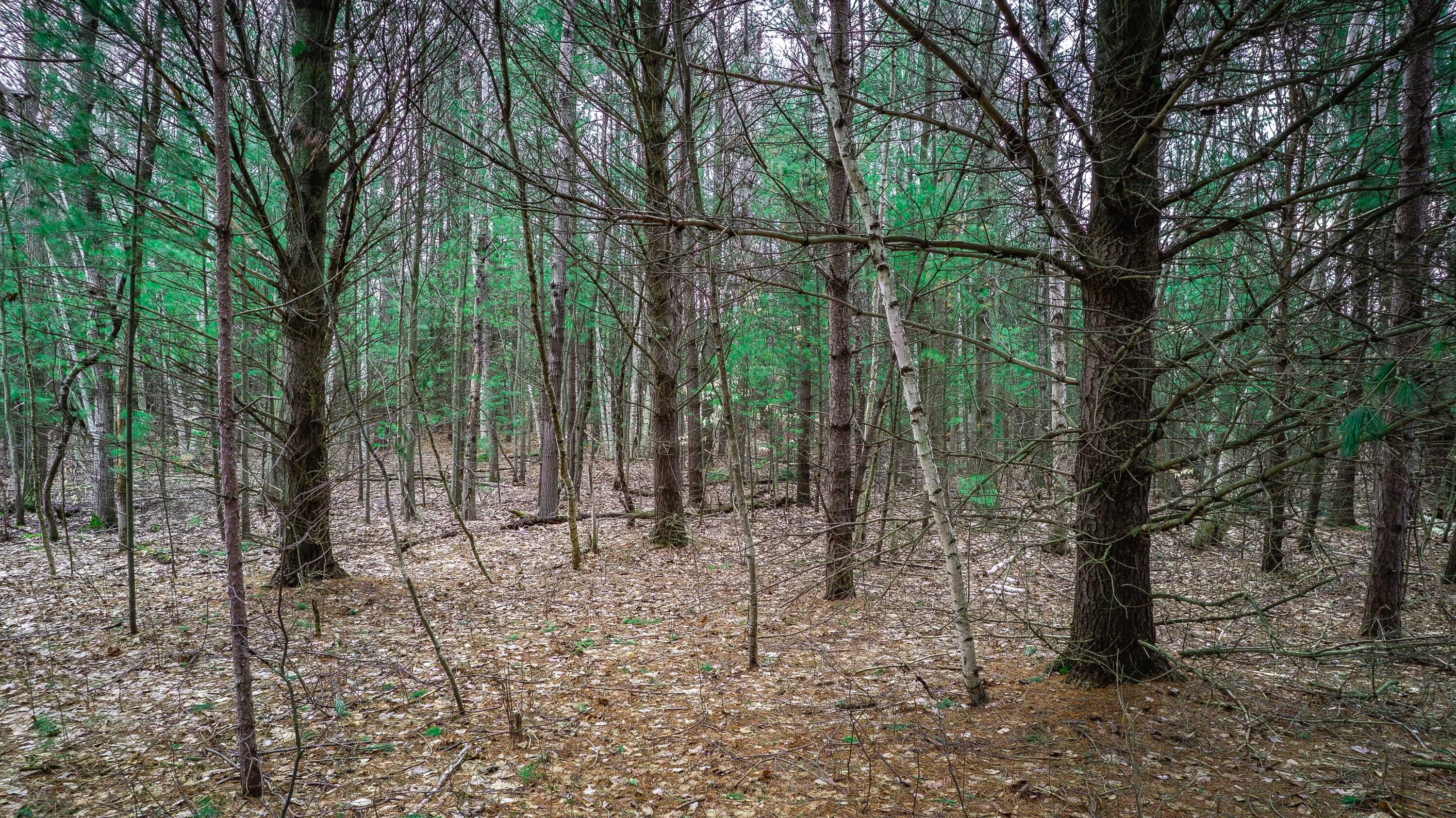0 4.69 Ac Lorenson Road Vac 4.69 Ac