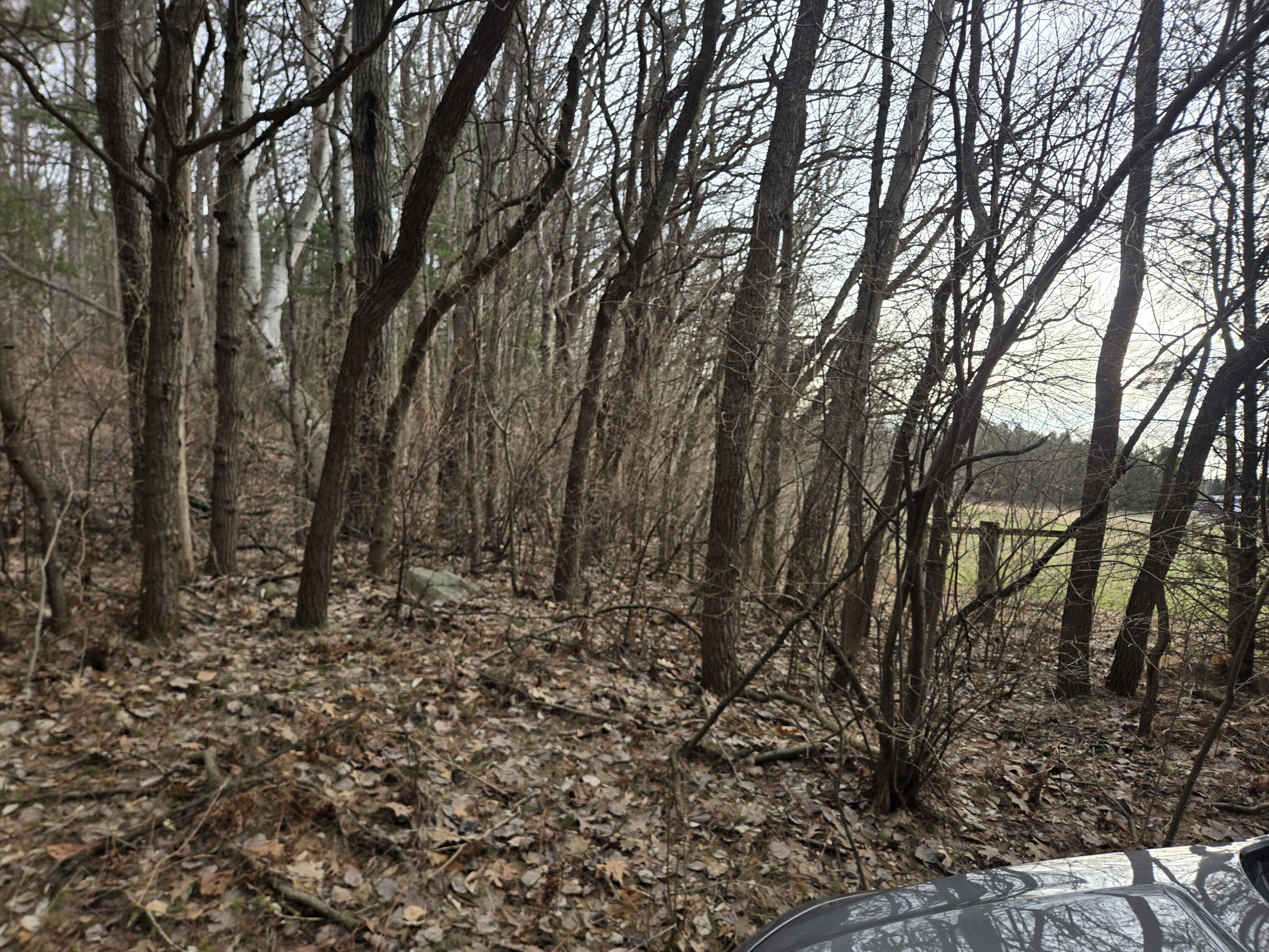 VL W Deer Road