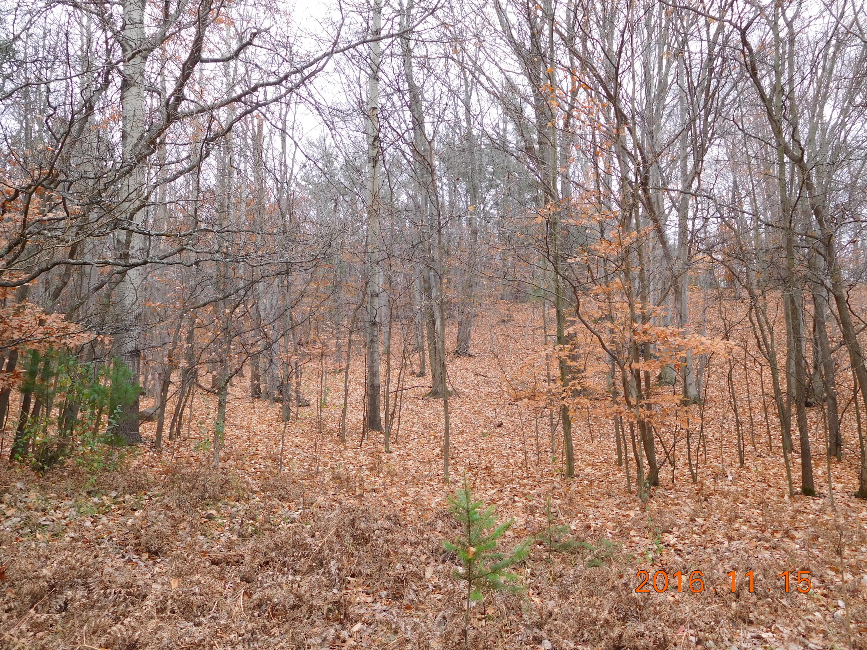 VL W Deer Road