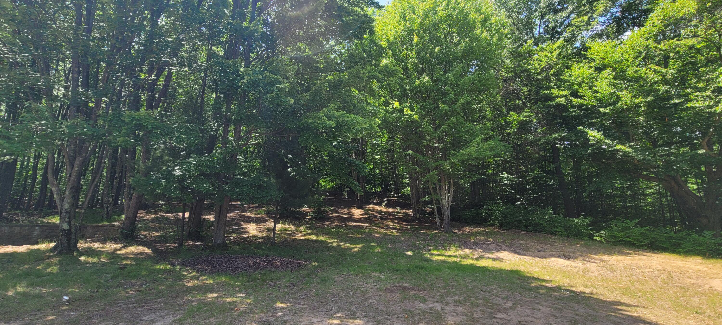 4551 Deer Cove Road