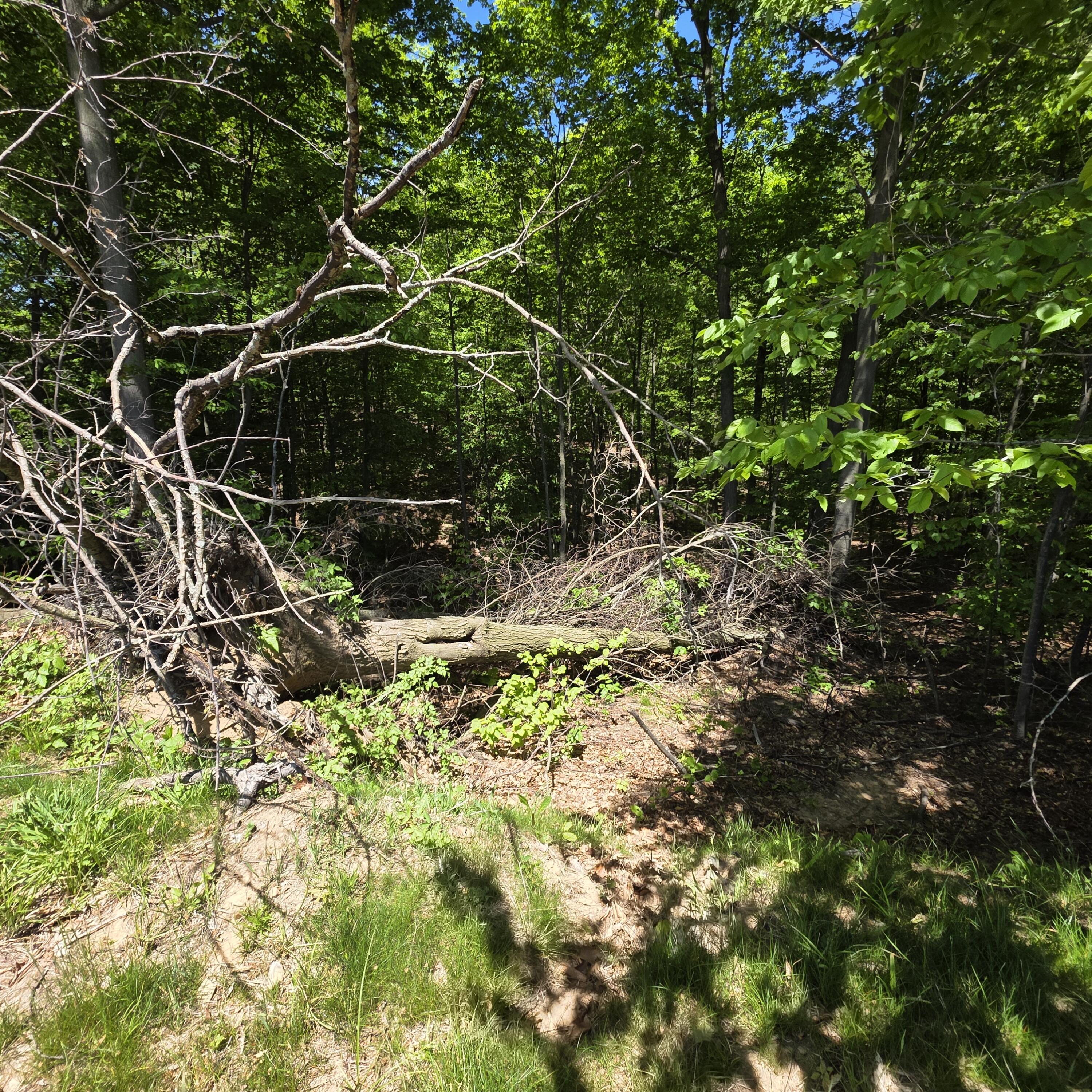 0 W Weaver Road Parcel B per Survey