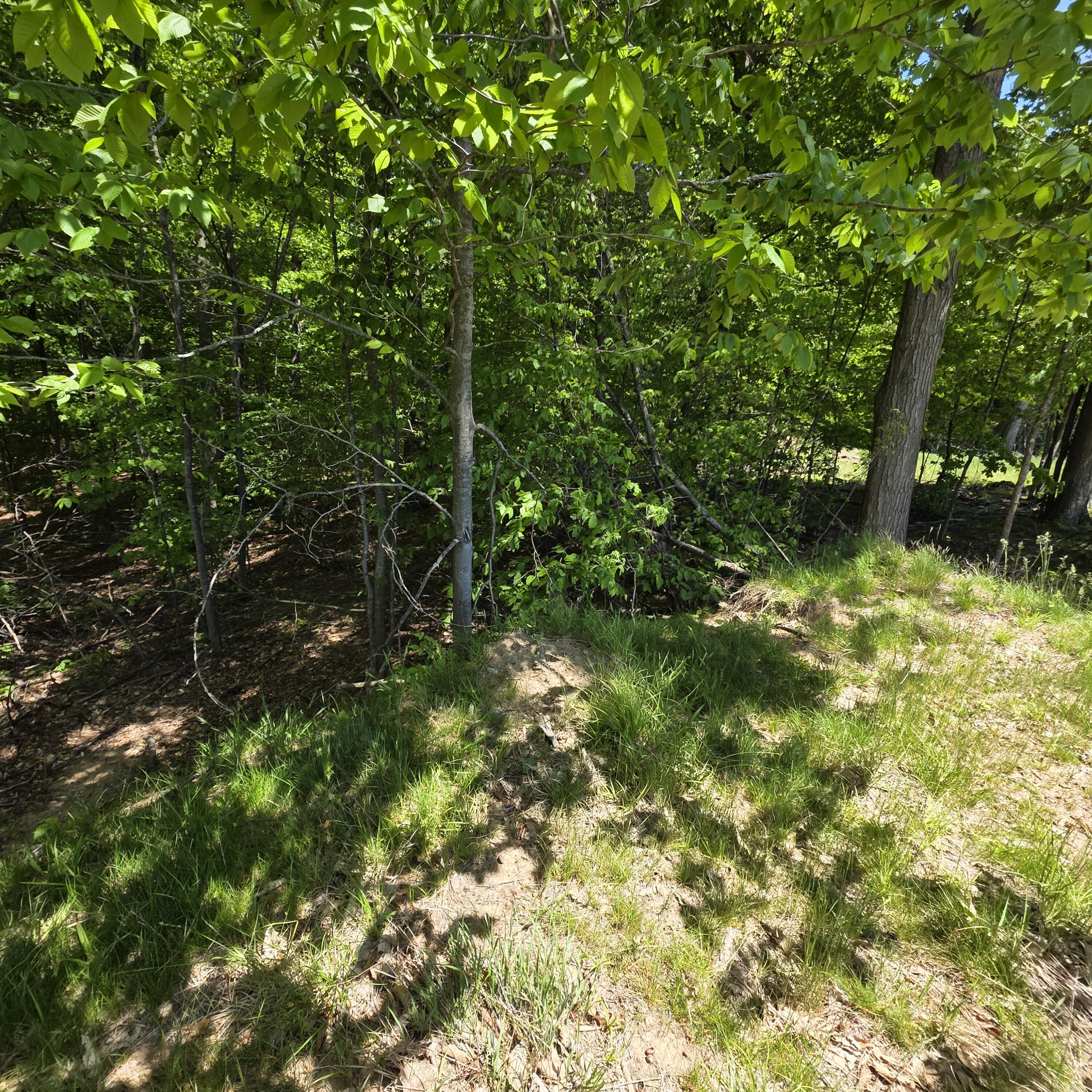 0 W Weaver Road Parcel B per Survey