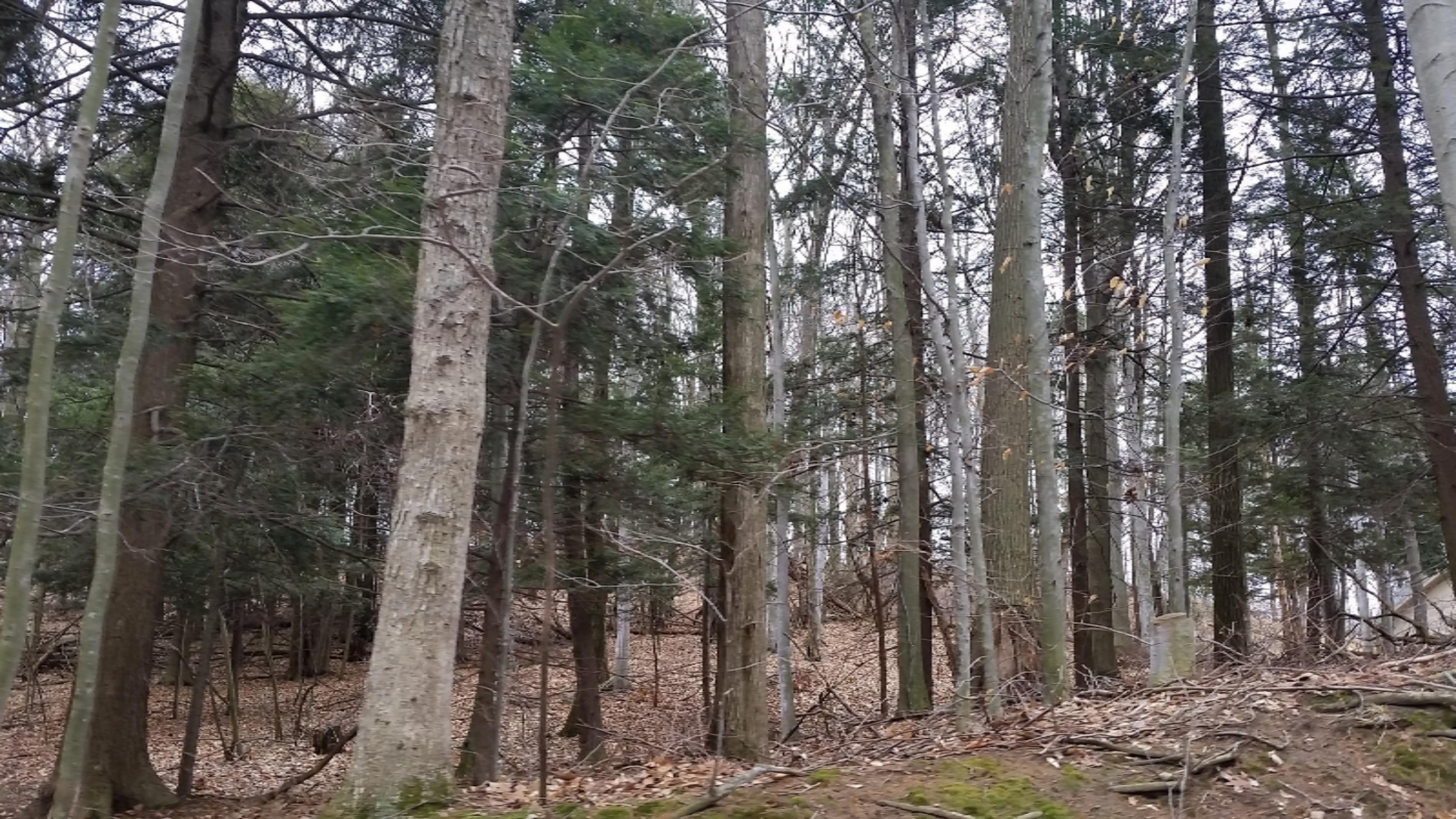 Lot 24 S Sable Pointe Drive