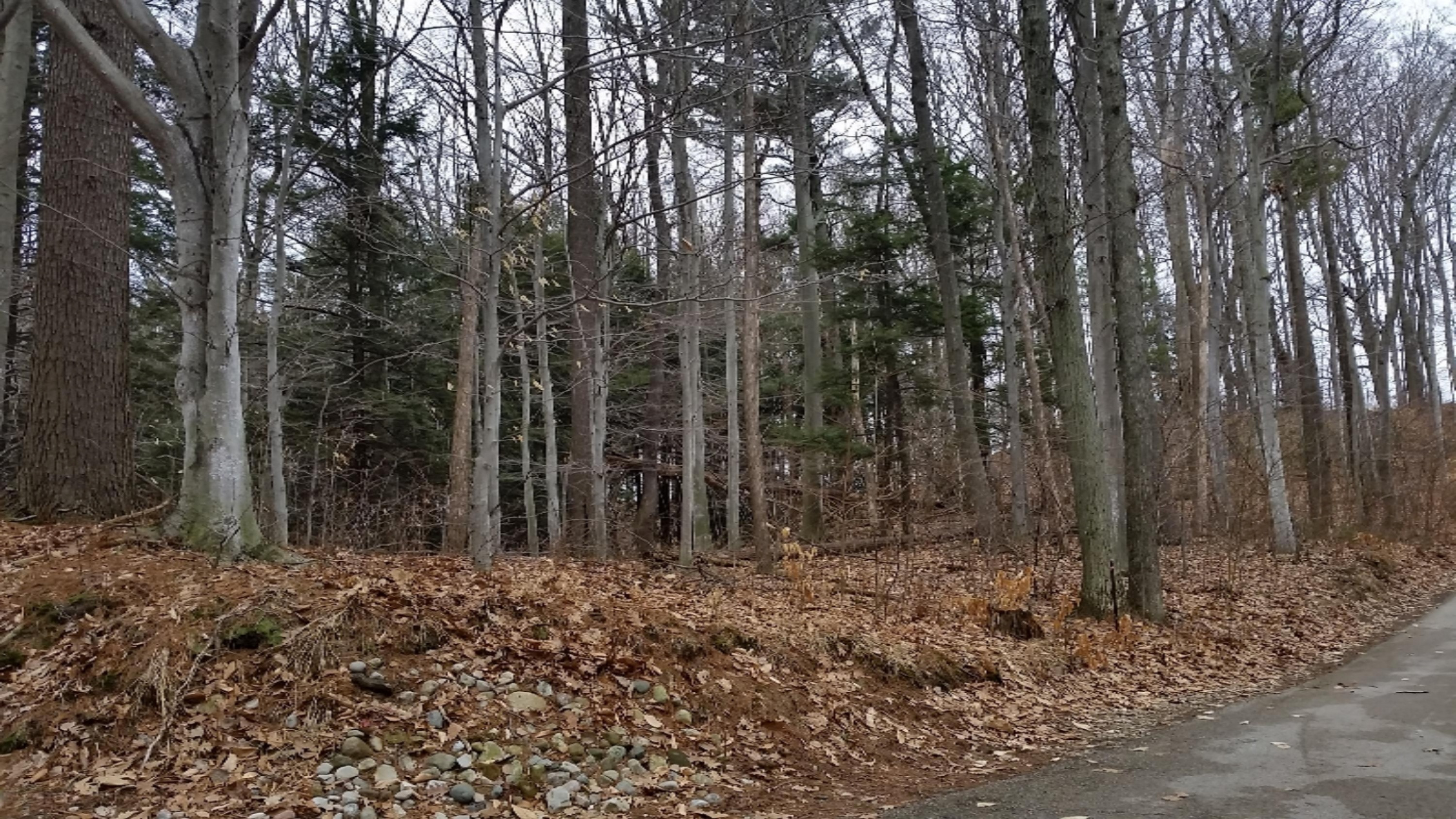 Lot 24 S Sable Pointe Drive