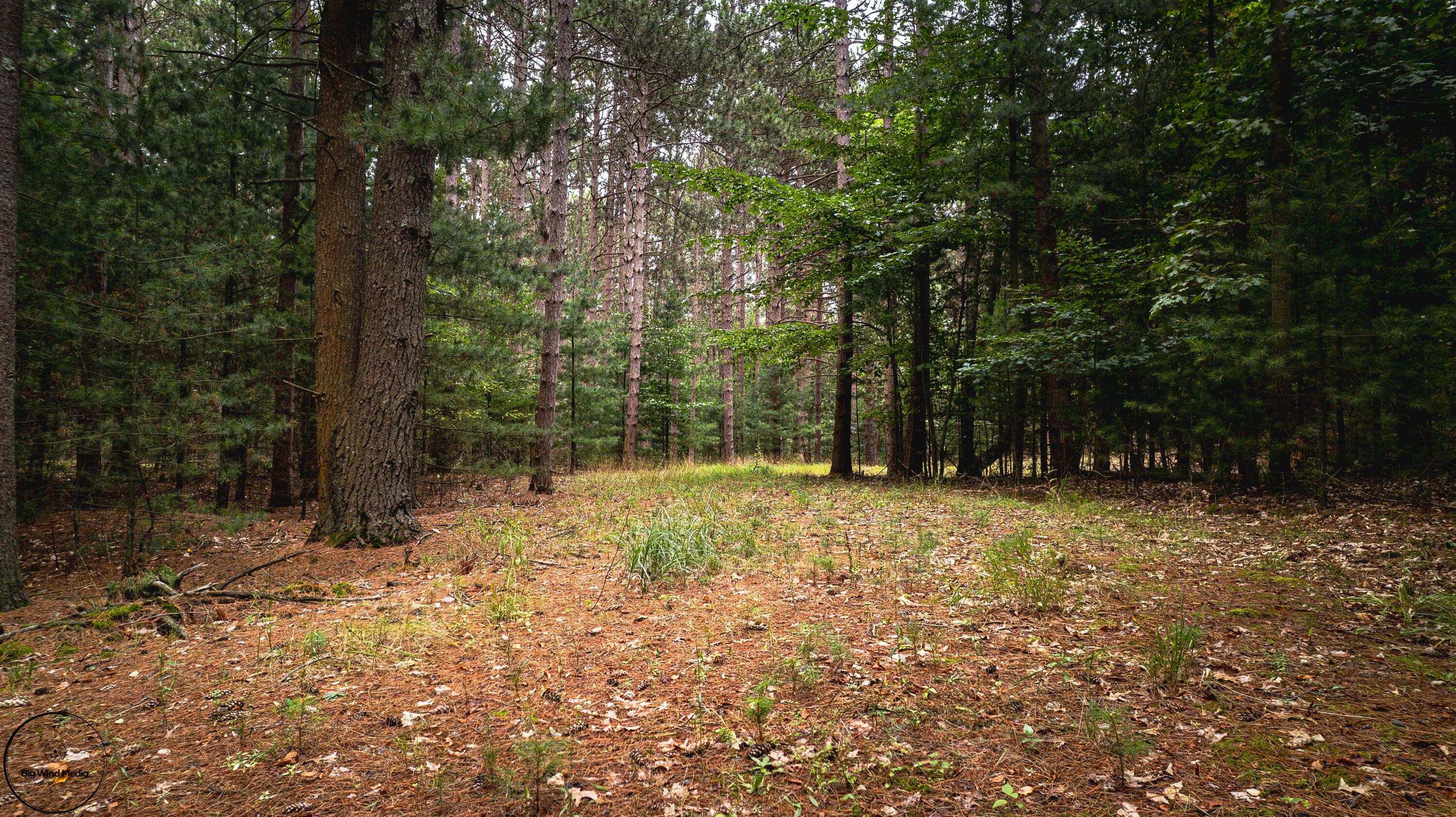 15 Vac acres S 32nd Avenue